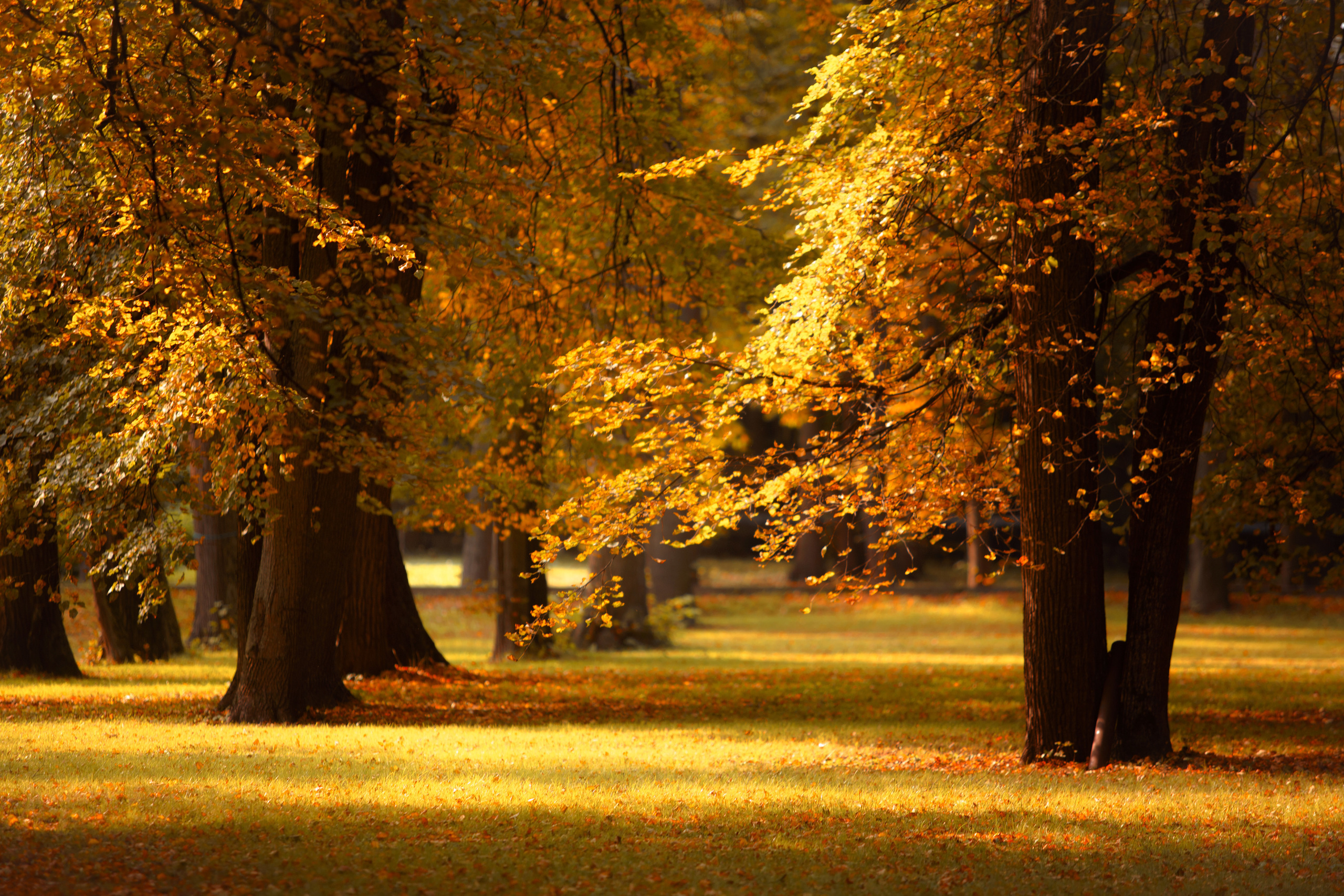 Фотосессия Размика, Наташи и Арины. Фотограф в Москве Оксана Цехмистер