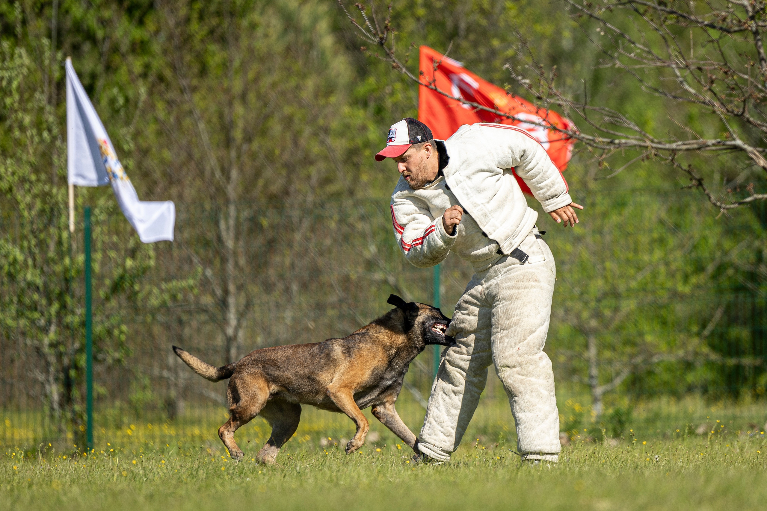 Испытания по мондьорингу в Нижнем Новгороде. Фотограф-анималист Анна Маринич