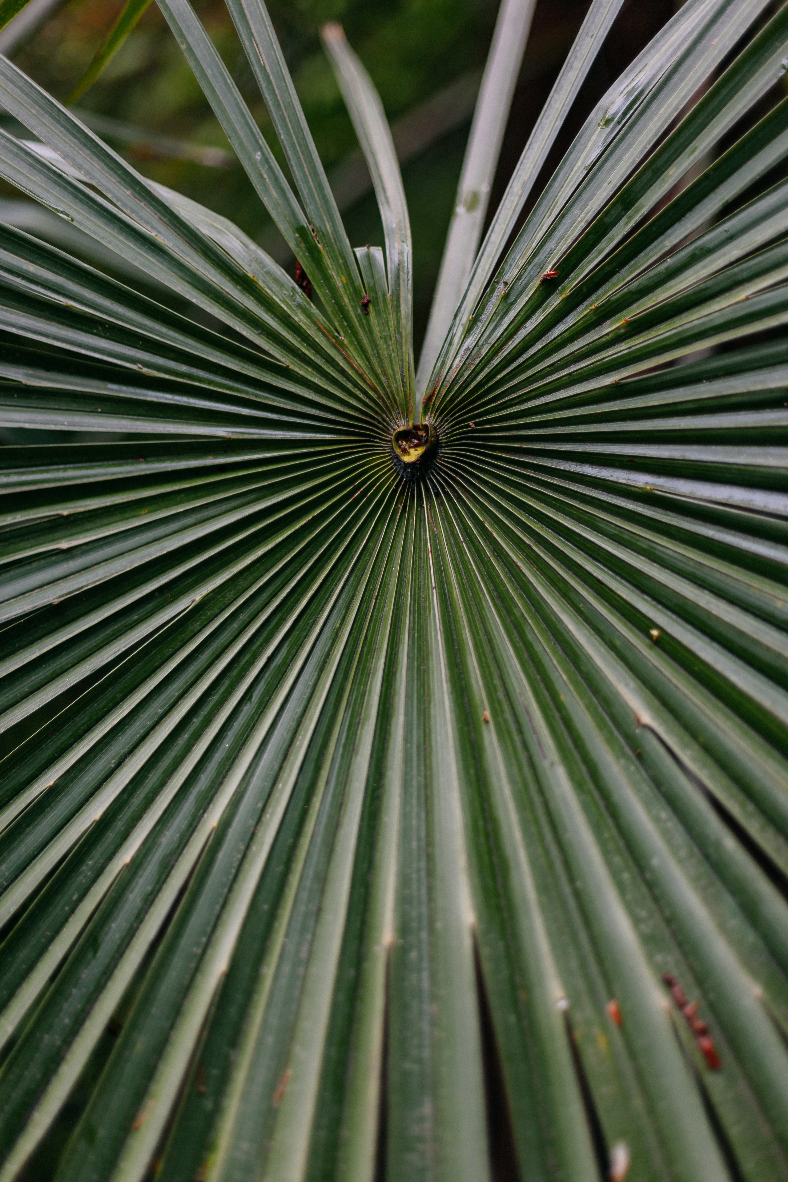 Сочи. Аня Степанова