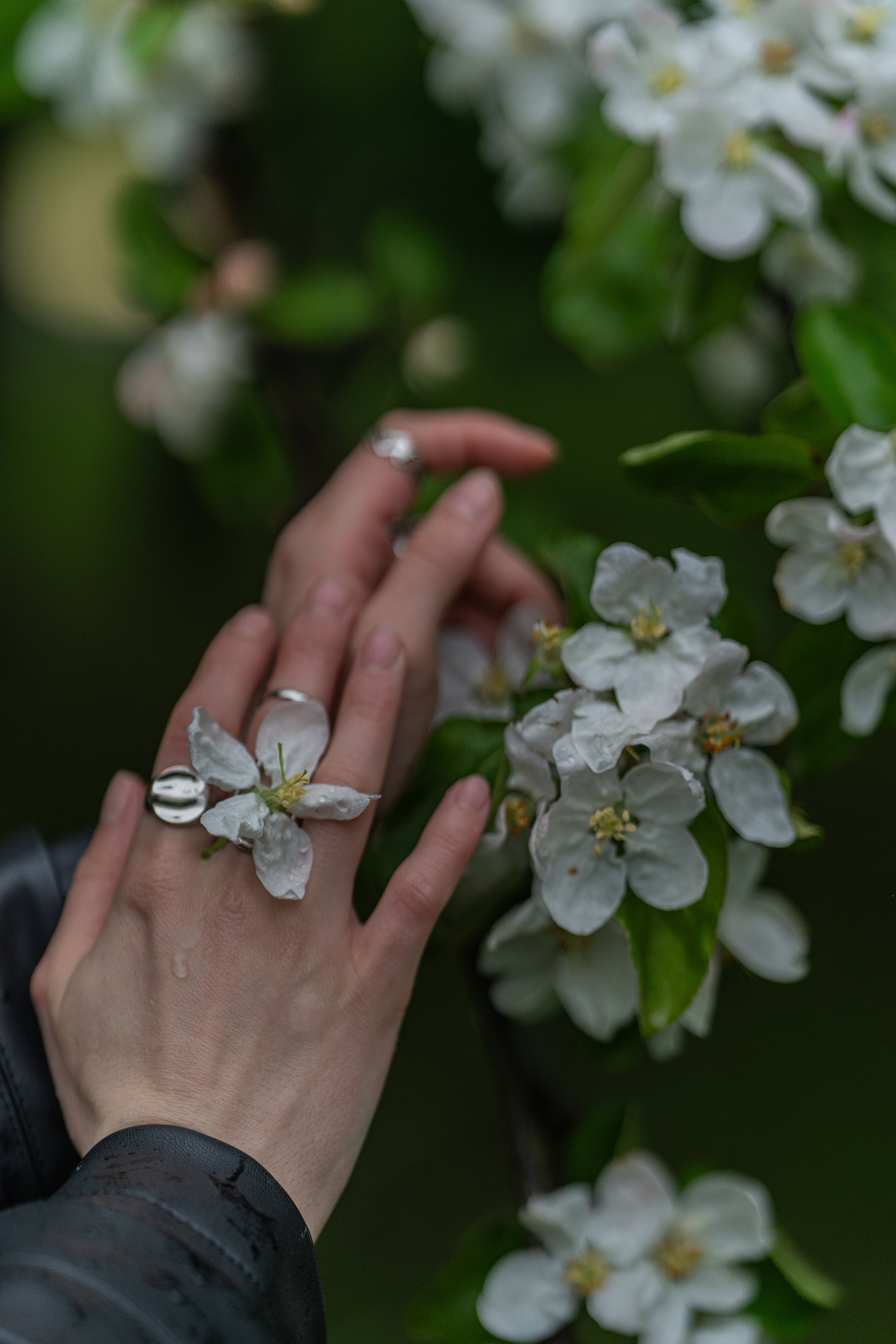 K. Натали — Фотографирую на память, что бы помнить какими мы были
