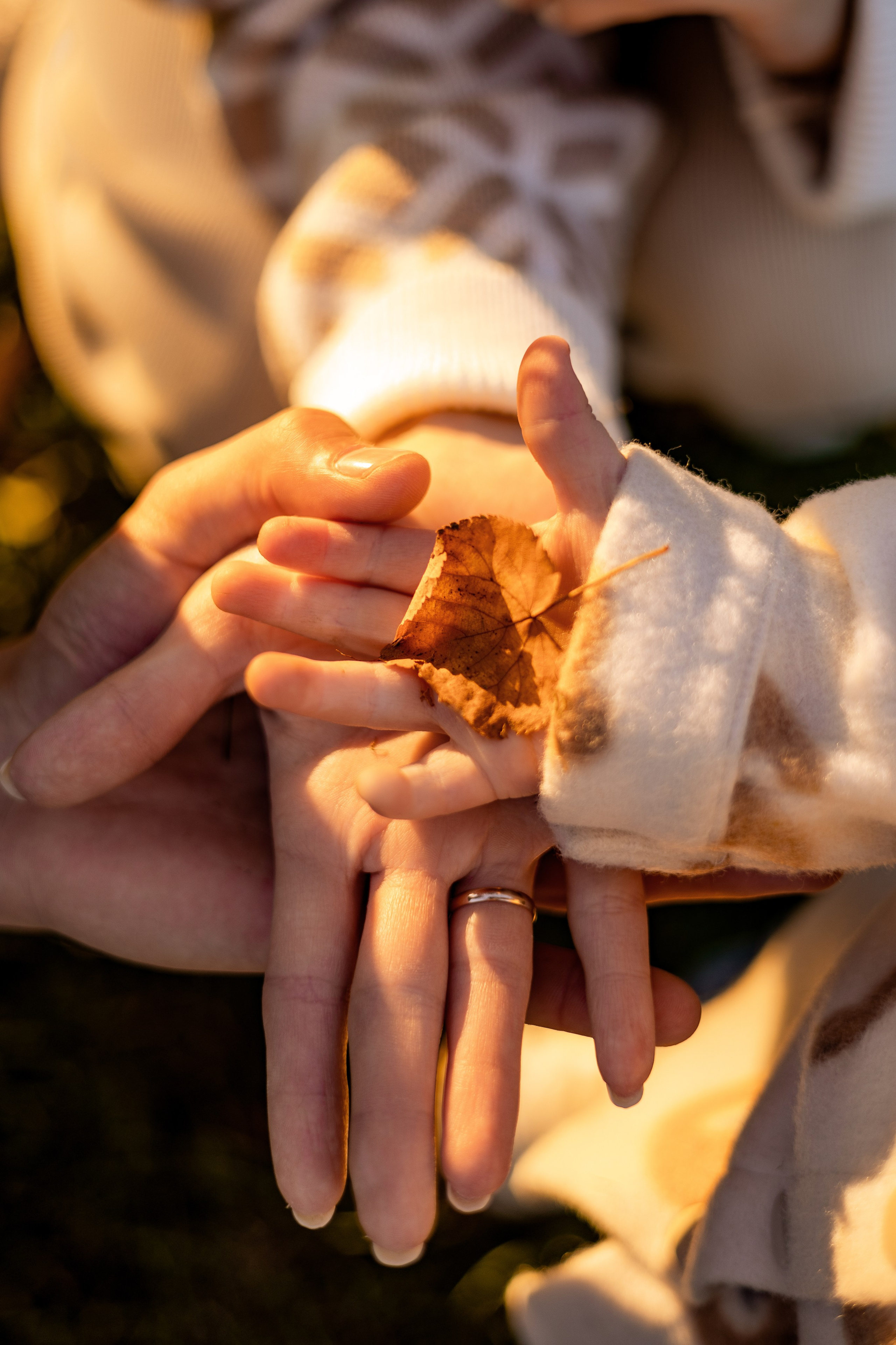 Семейная фотосессия. Осень. Фотограф Самойлова Анна Архангельск, Северодвинск