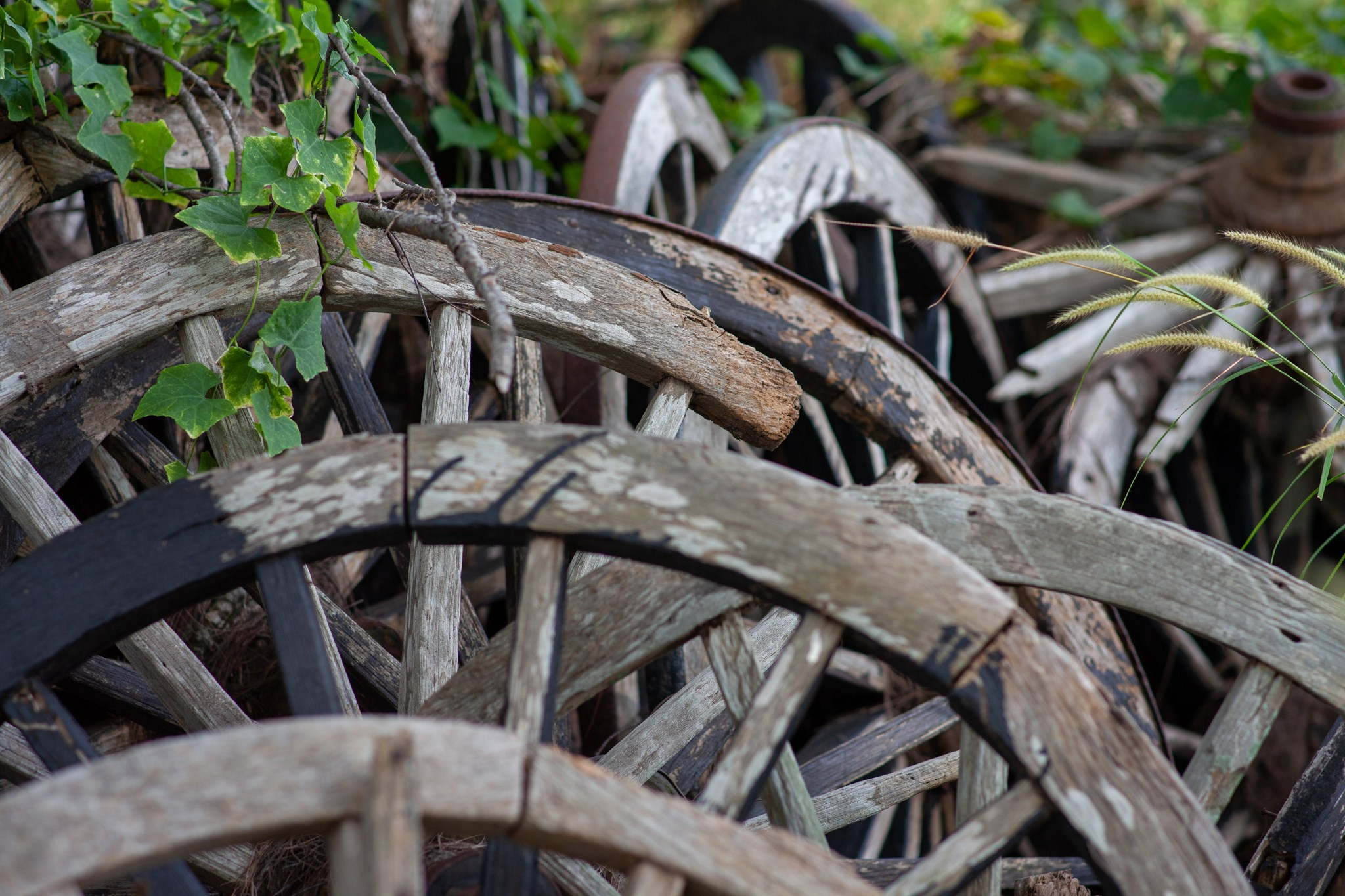 Находка в Таиланде, 2011. Фотограф Василий Буланов