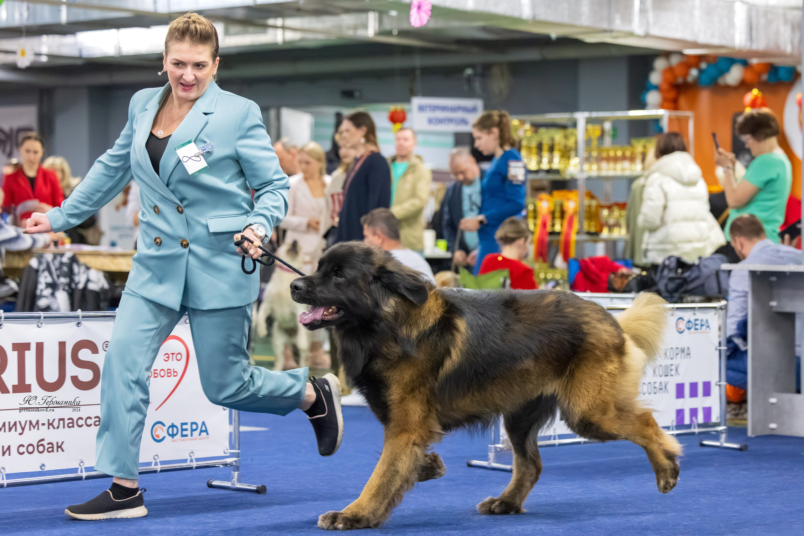 Сфера 17.03.2024. Фотограф-анималист Юлия Германика