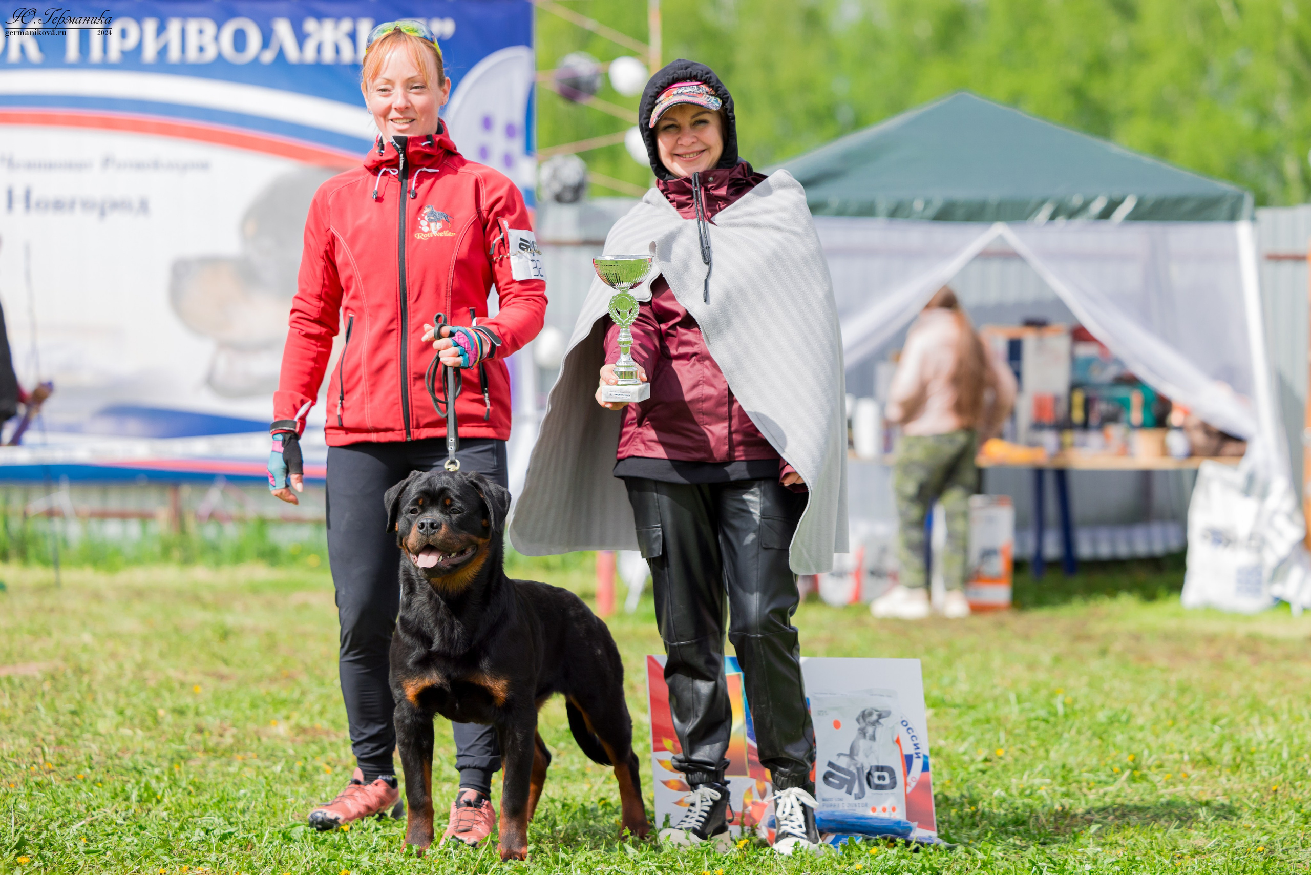 Нижний Новгород 11-12.05.2024 моно ротвейлеров. Фотограф-анималист Юлия Германика