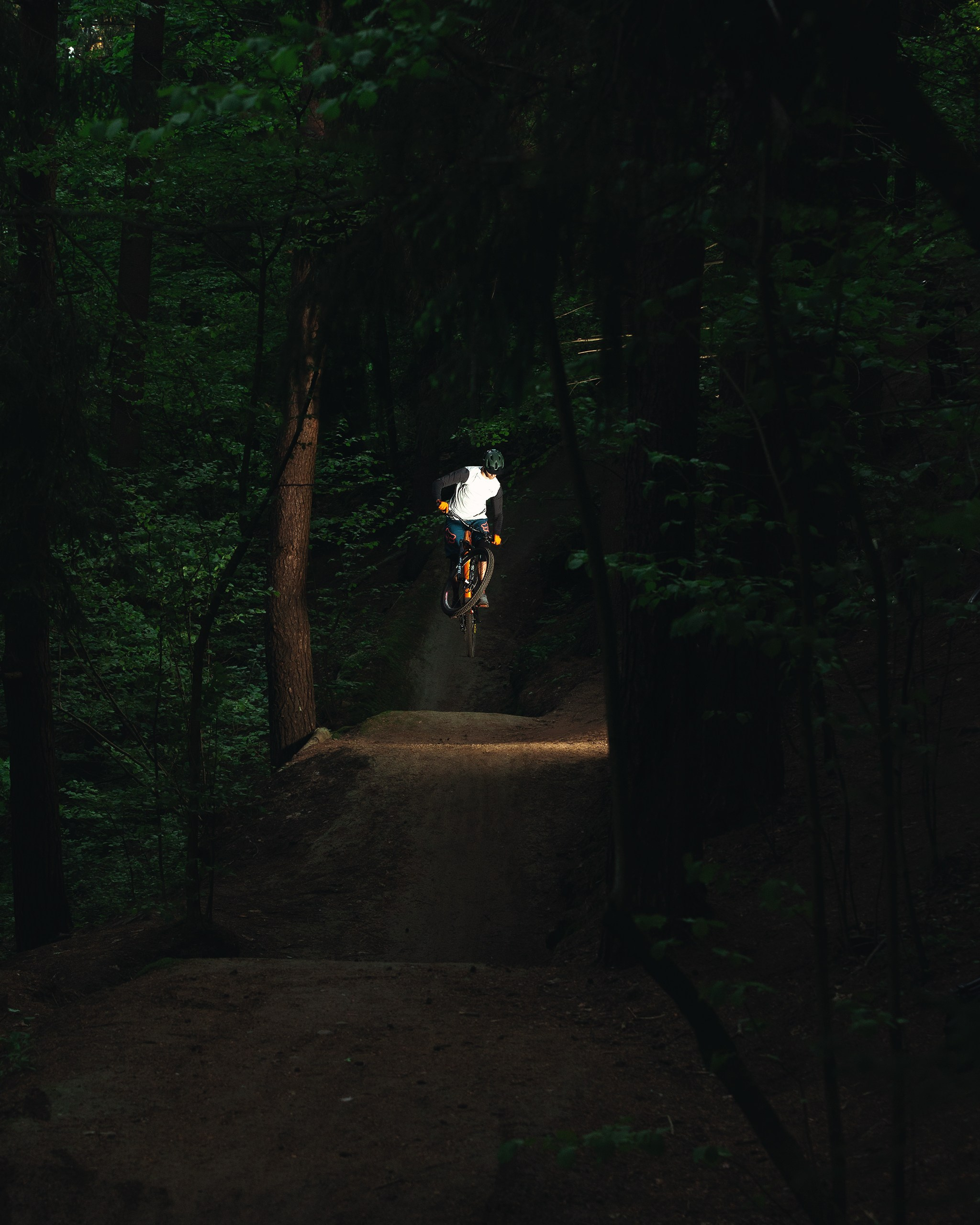 Покатушки в Огороде. Фотограф анималист Никита Натальный