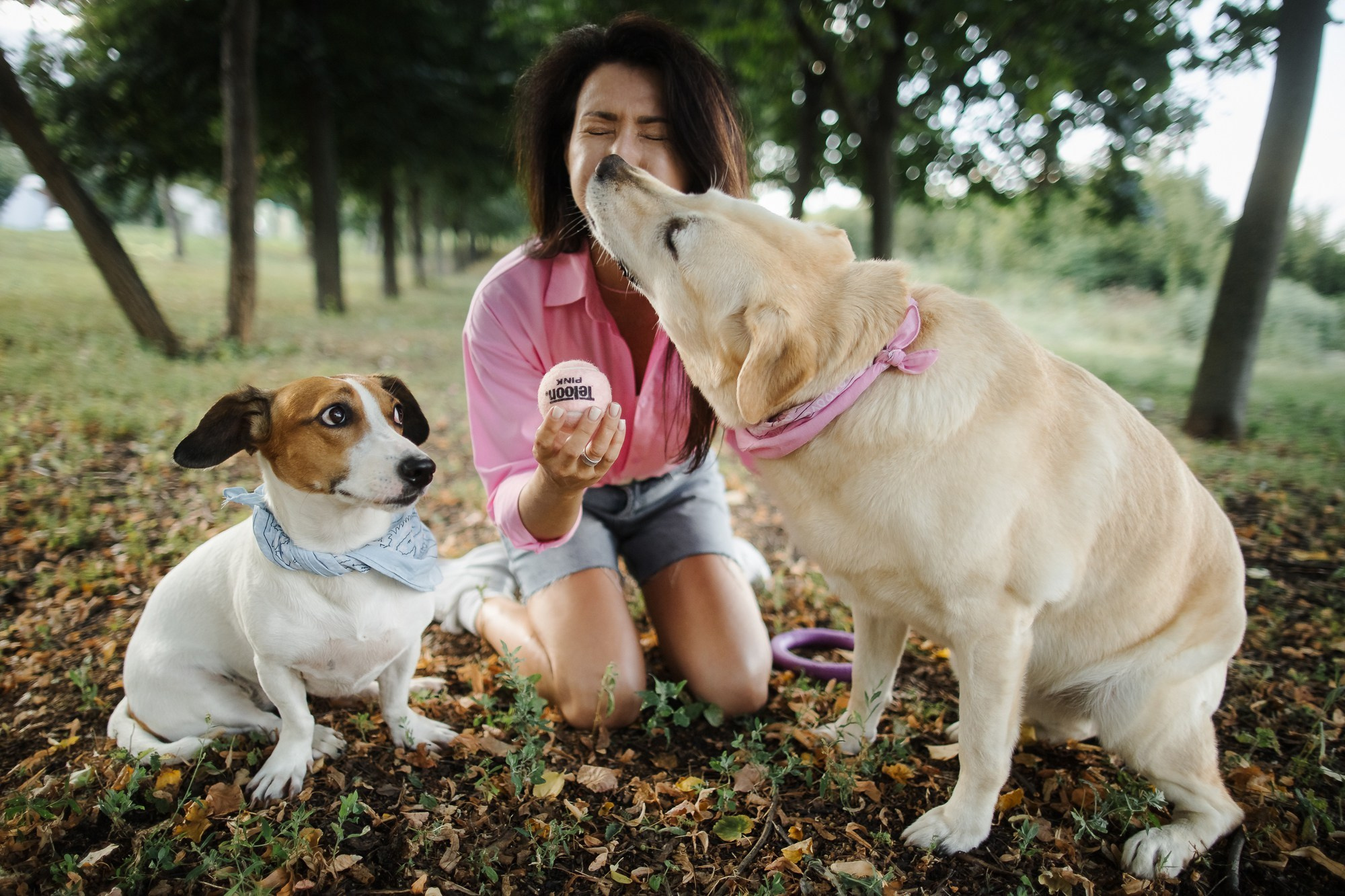 Счастье на четырёх лапах. Маргарита Рубцова свадебный фотограф Тольятти