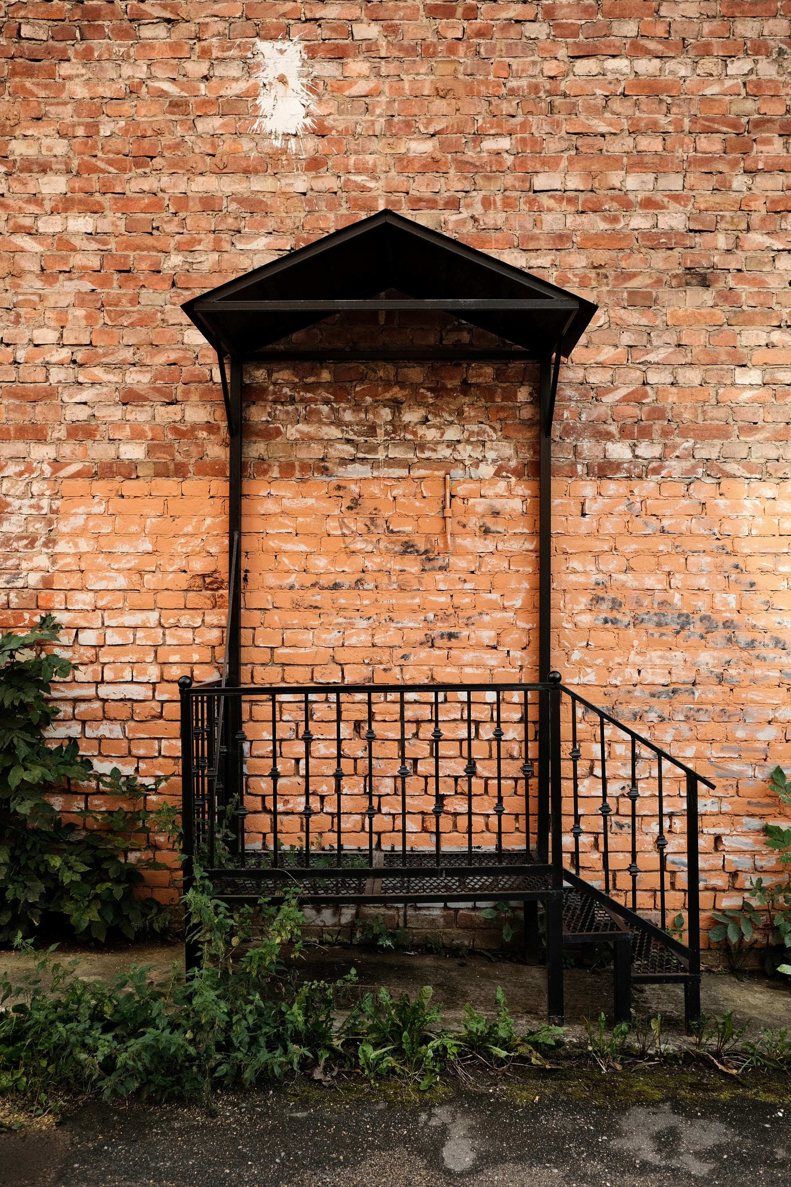 ph: Ната Никитина