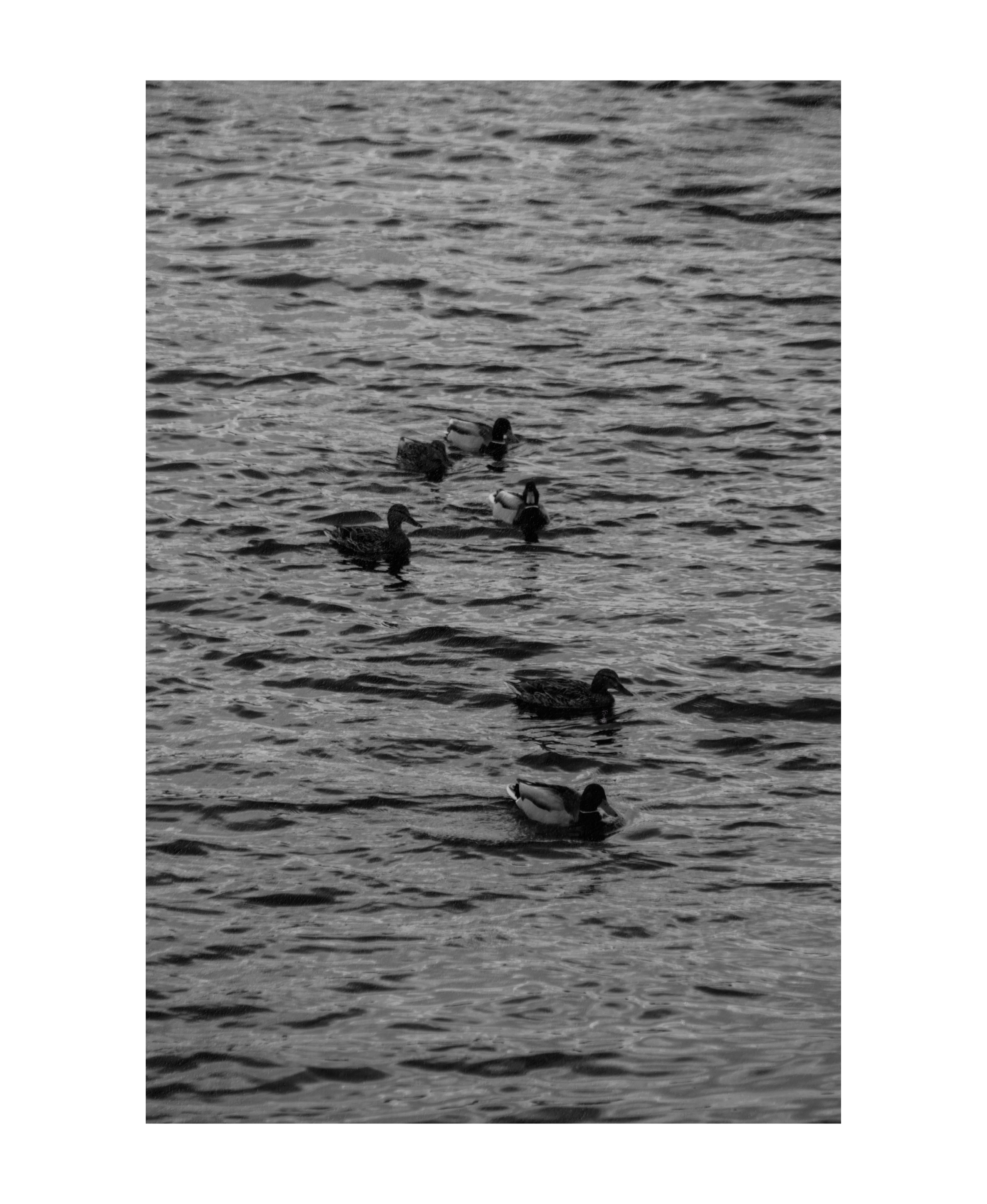 22.04.2023 | Красноярск. Kuznetsov | Фотограф в Красноярске