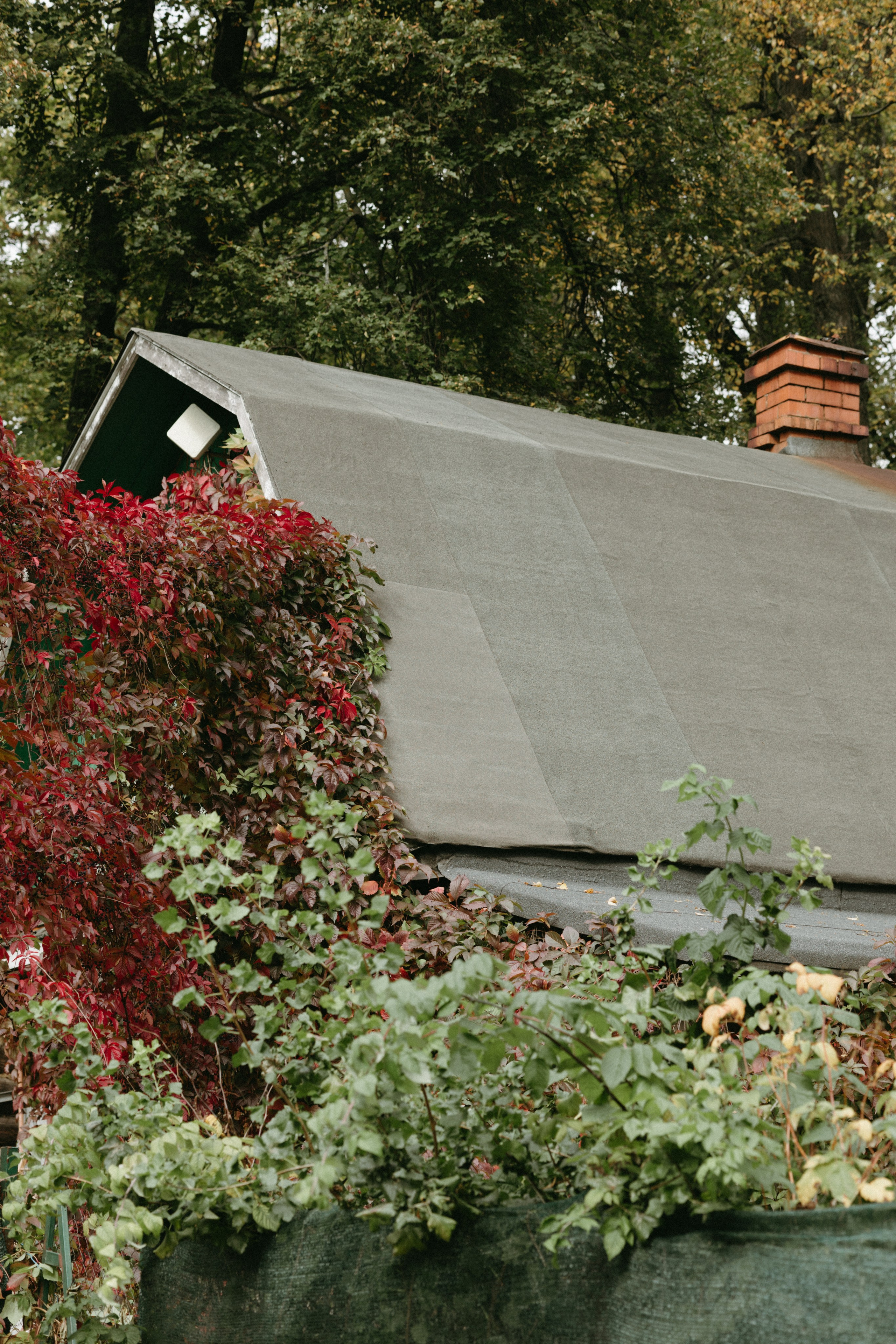 Дача. Про любовь