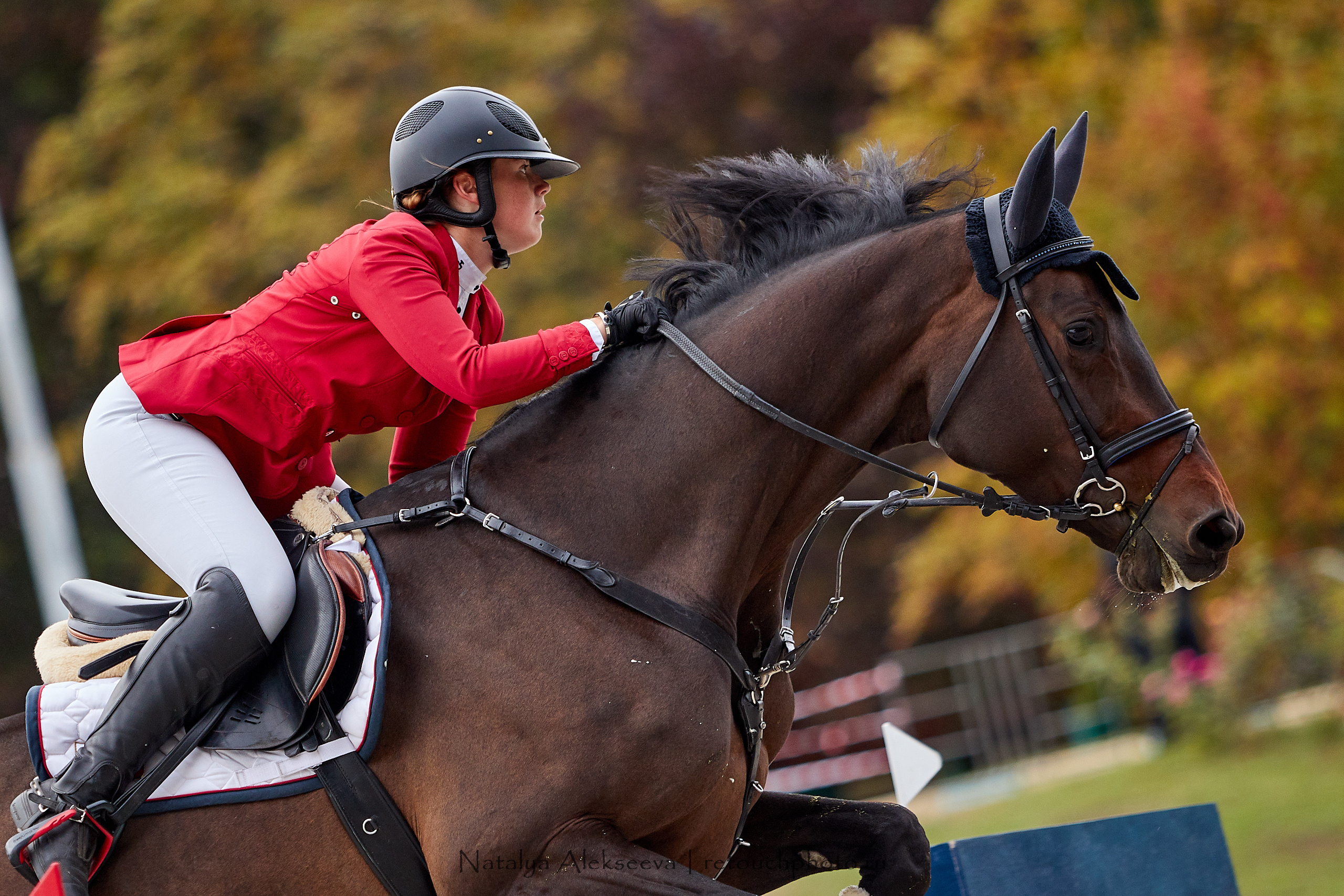 CSI 3*, Grand Prix 145 cm, LR, ГБУ СШ Битца | 09'2019. Репортажный фотограф и ретушер в Москве Наталья Алексеева