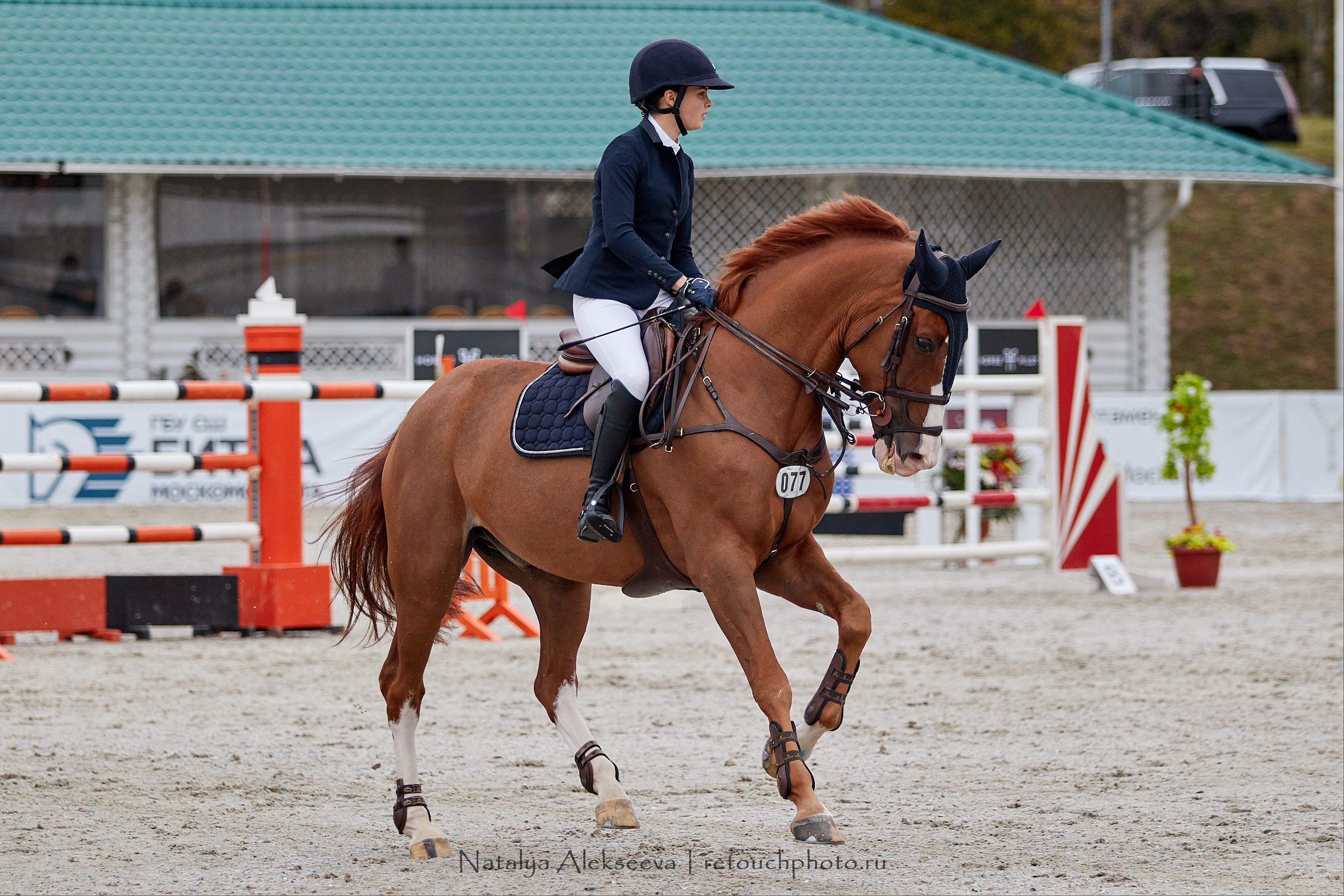CSI 3*, Grand Prix 145 cm, LR, ГБУ СШ Битца | 09'2019. Репортажный фотограф и ретушер в Москве Наталья Алексеева