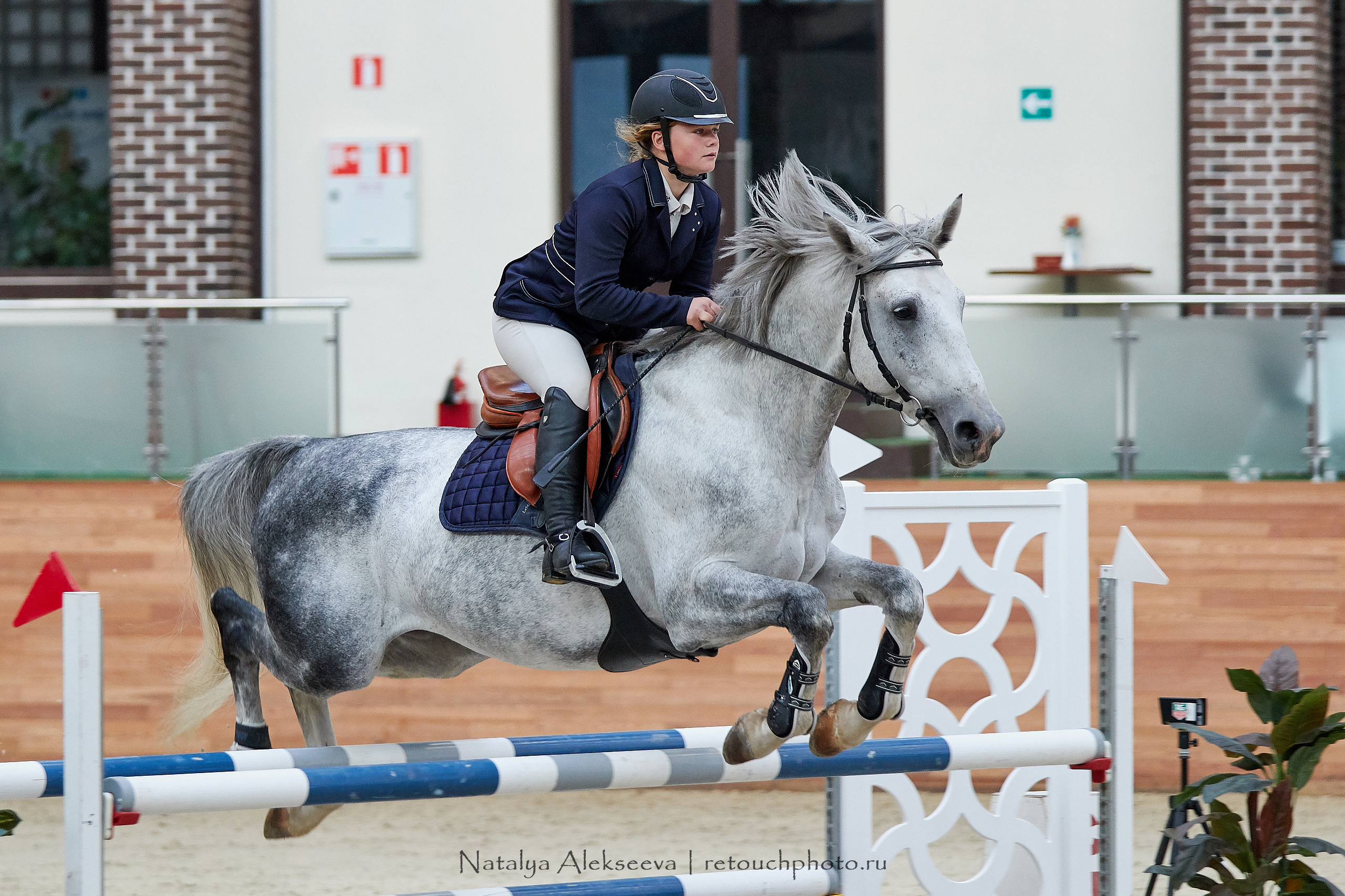 CSI3*, CSI1*, CSICh, CHIJ, Maxima Stables | 11'2019. Репортажный фотограф и ретушер в Москве Наталья Алексеева