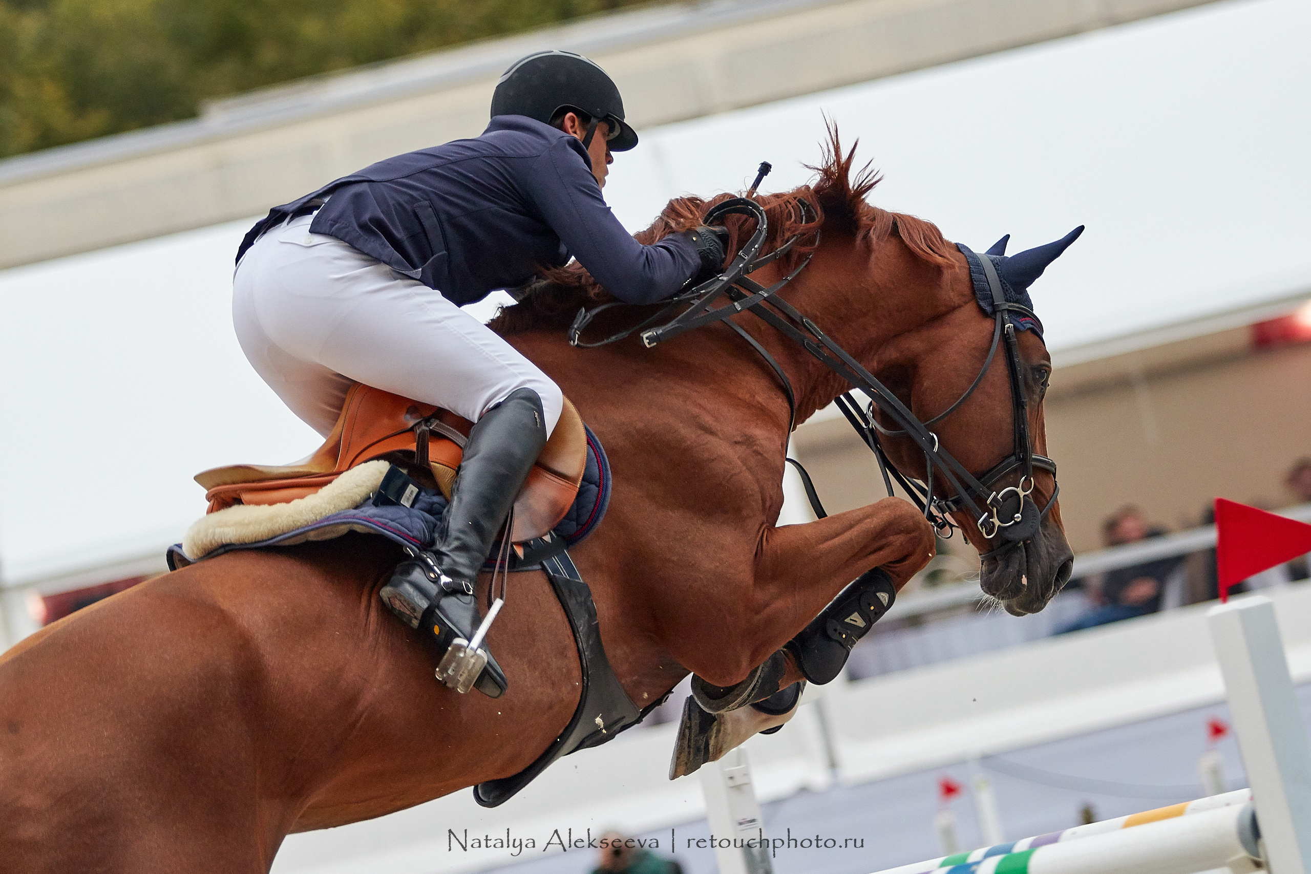 CSI 3*, Grand Prix 145 cm, LR, ГБУ СШ Битца | 09'2019. Репортажный фотограф и ретушер в Москве Наталья Алексеева