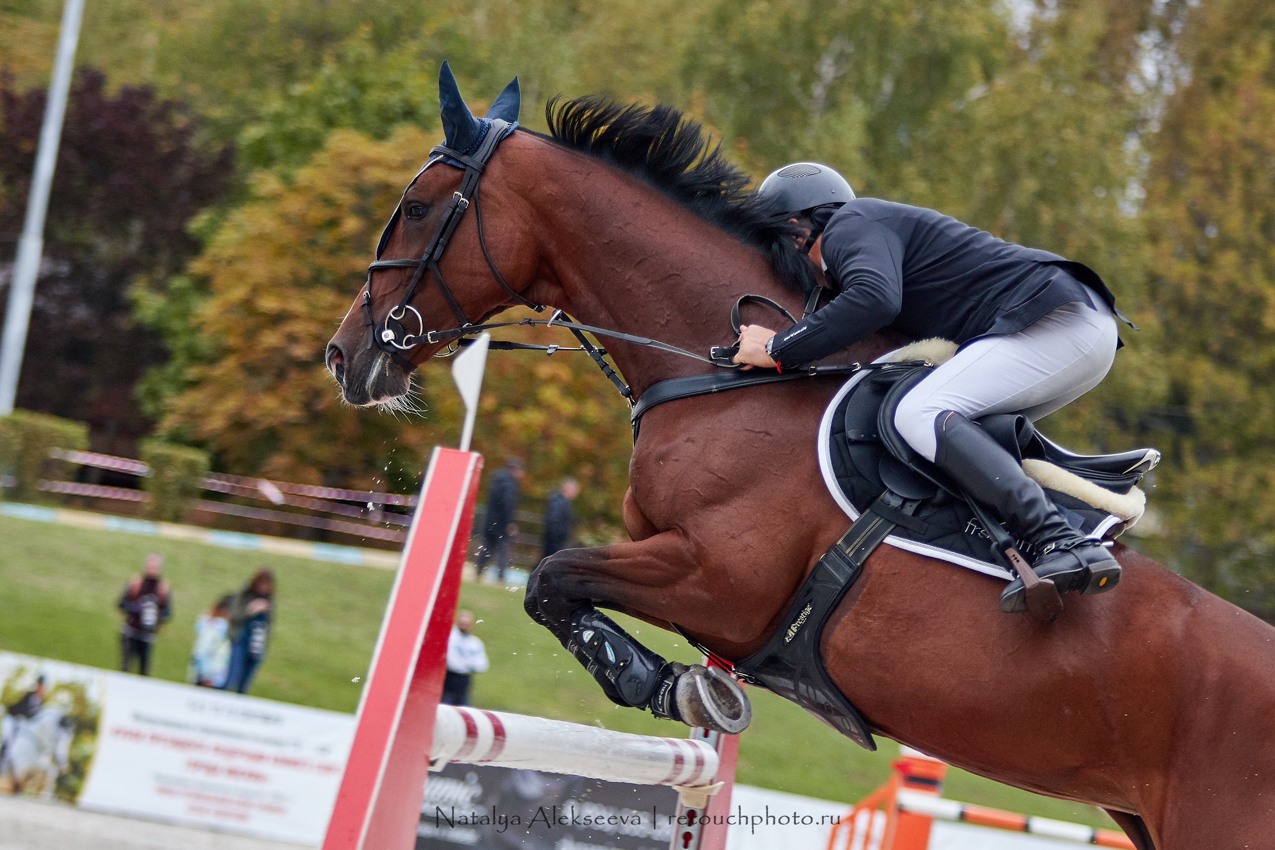 CSI 3*, Grand Prix 145 cm, LR, ГБУ СШ Битца | 09'2019. Репортажный фотограф и ретушер в Москве Наталья Алексеева