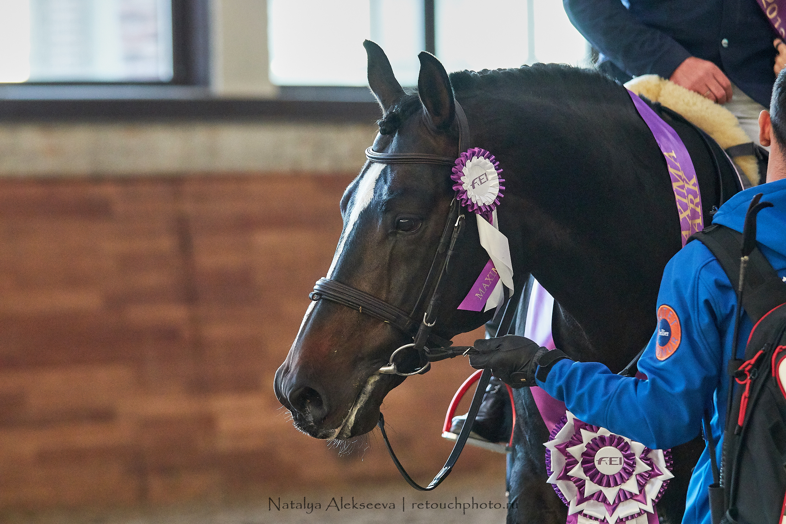 CSI3*, CSI1*, CSICh, CHIJ, Maxima Stables | 11'2019. Репортажный фотограф и ретушер в Москве Наталья Алексеева