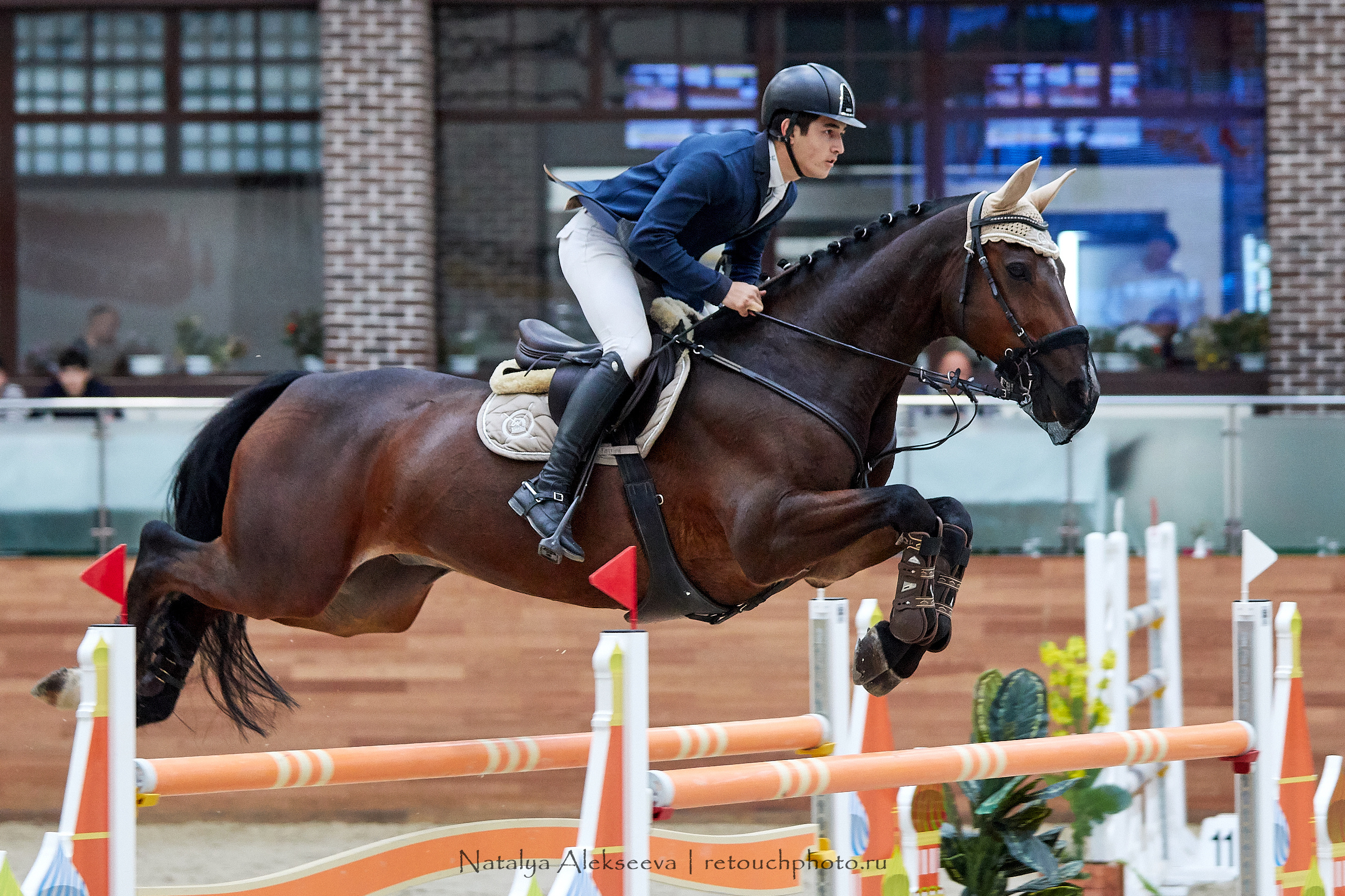 CSI3*, CSI1*, CSICh, CHIJ, Maxima Stables | 11'2019. Репортажный фотограф и ретушер в Москве Наталья Алексеева