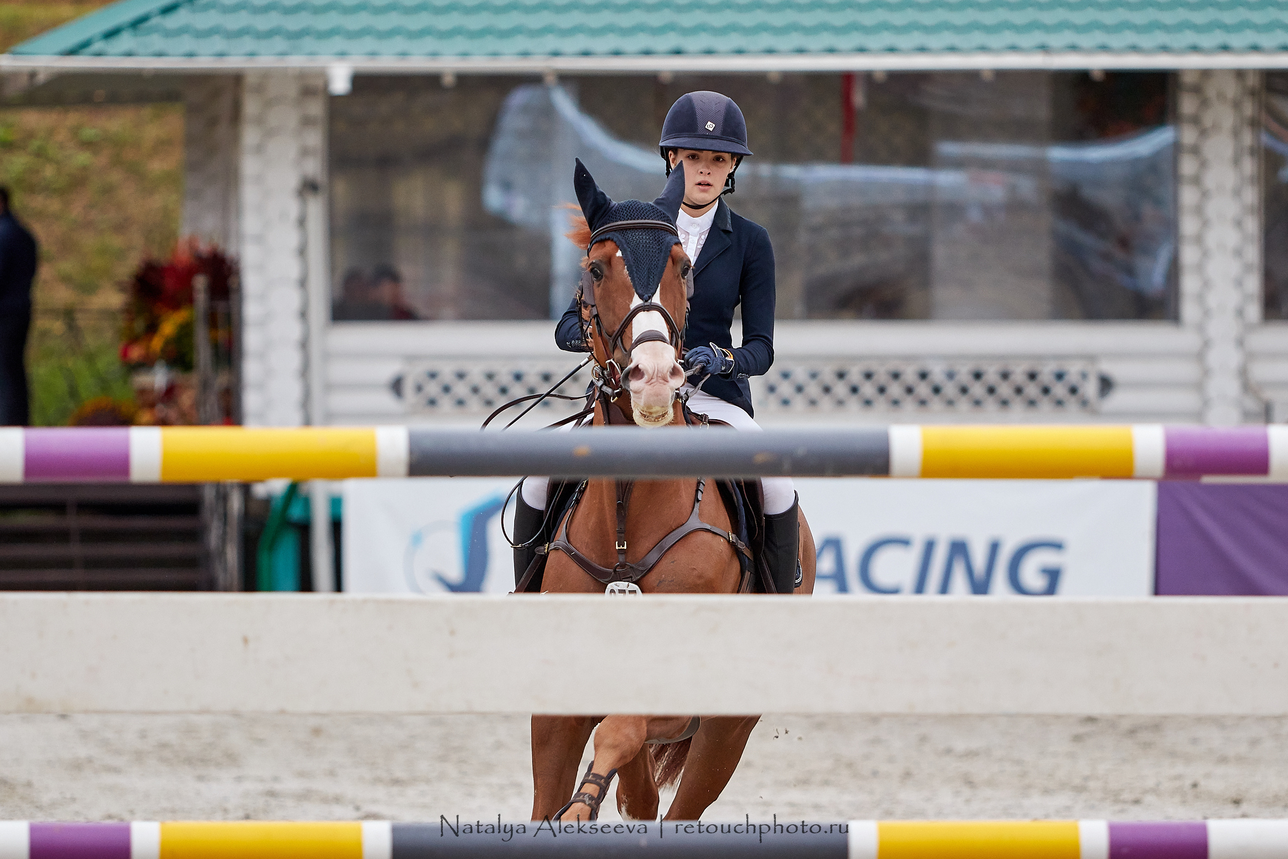 CSI 3*, Grand Prix 145 cm, LR, ГБУ СШ Битца | 09'2019. Репортажный фотограф и ретушер в Москве Наталья Алексеева
