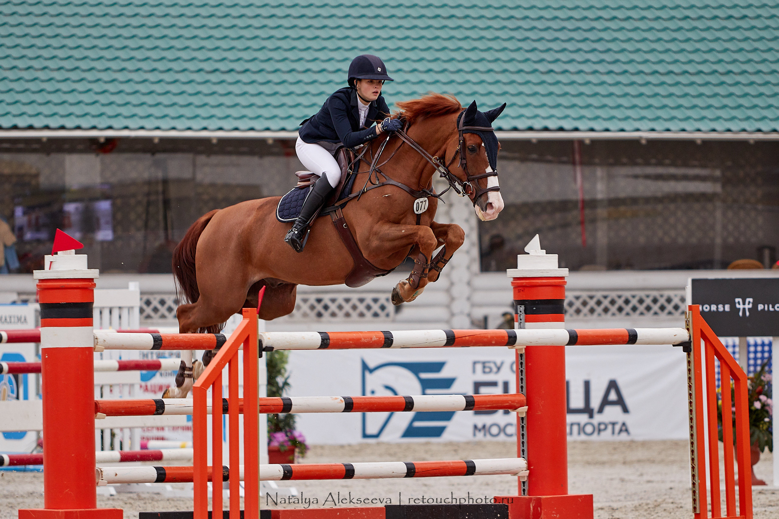 CSI 3*, Grand Prix 145 cm, LR, ГБУ СШ Битца | 09'2019. Репортажный фотограф и ретушер в Москве Наталья Алексеева