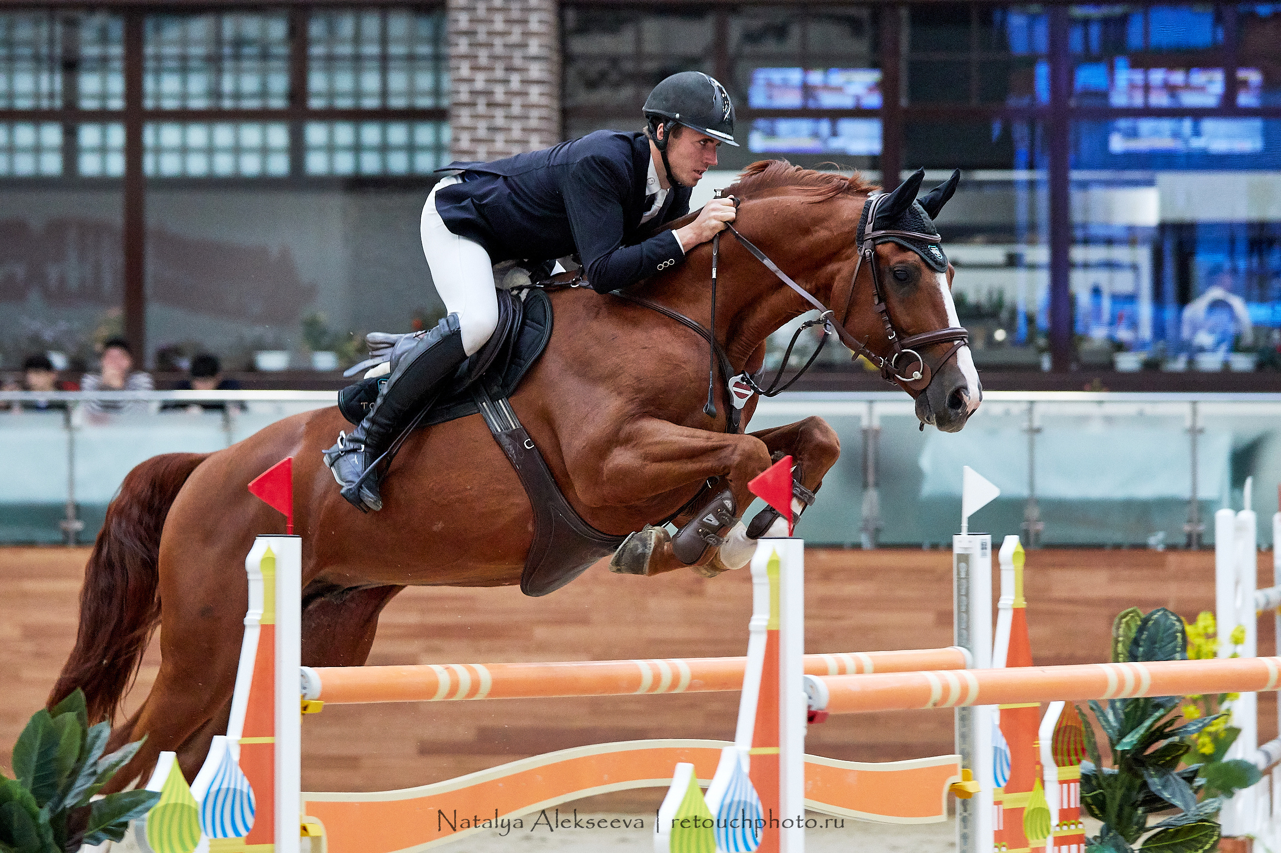 CSI3*, CSI1*, CSICh, CHIJ, Maxima Stables | 11'2019. Репортажный фотограф и ретушер в Москве Наталья Алексеева