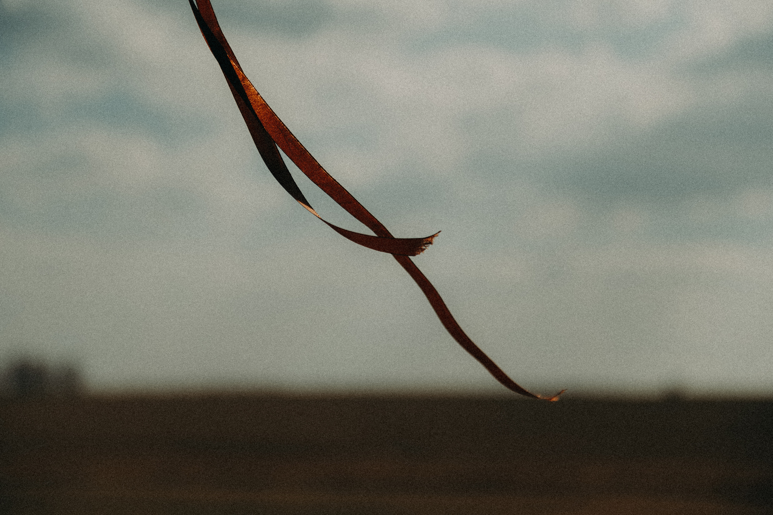 Детская фотография. Фотограф в Барнауле Дарья Бутурлакина. Люби.Цени.Касайся