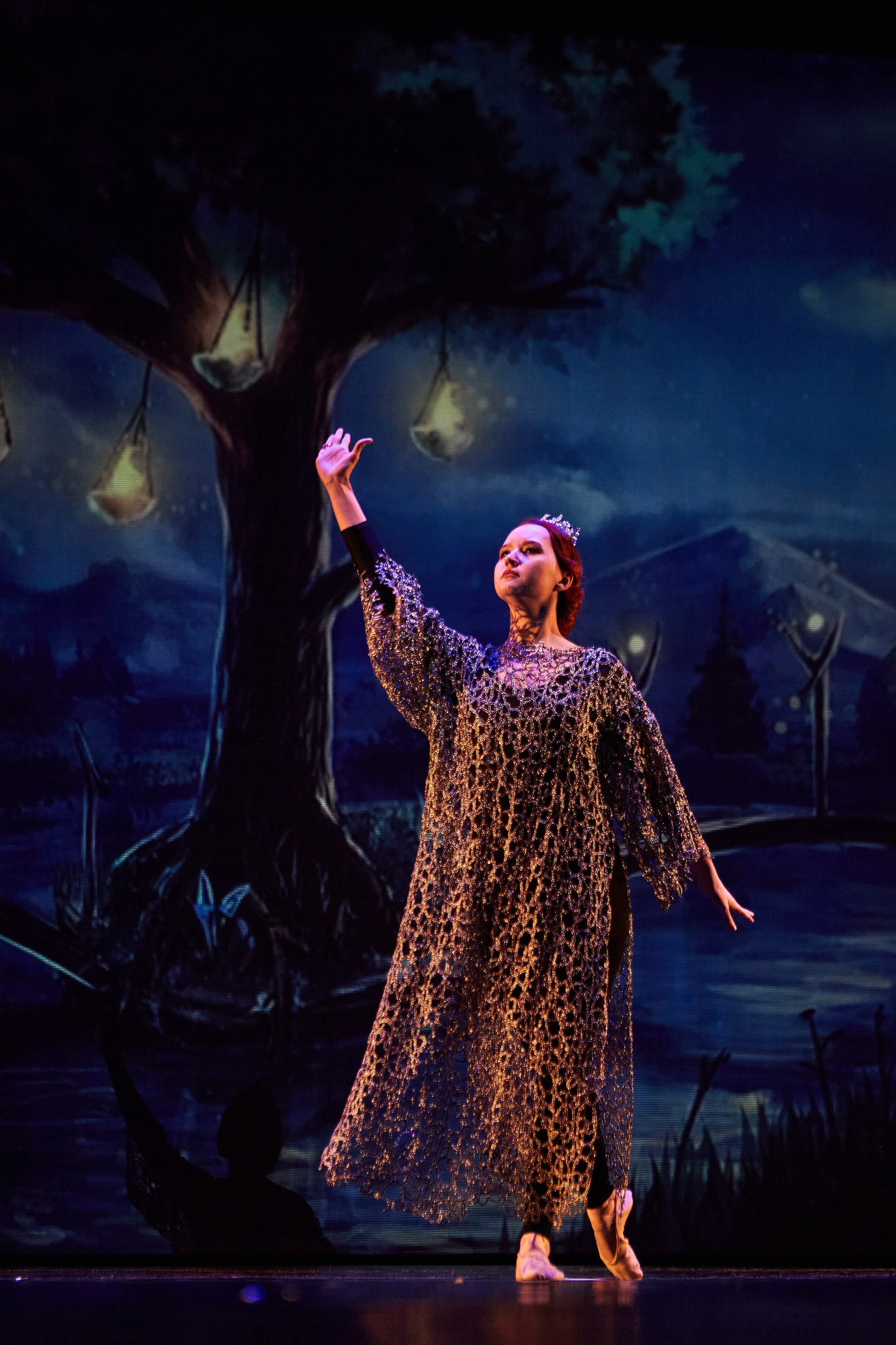 Концерты. Виолетта Скрипка