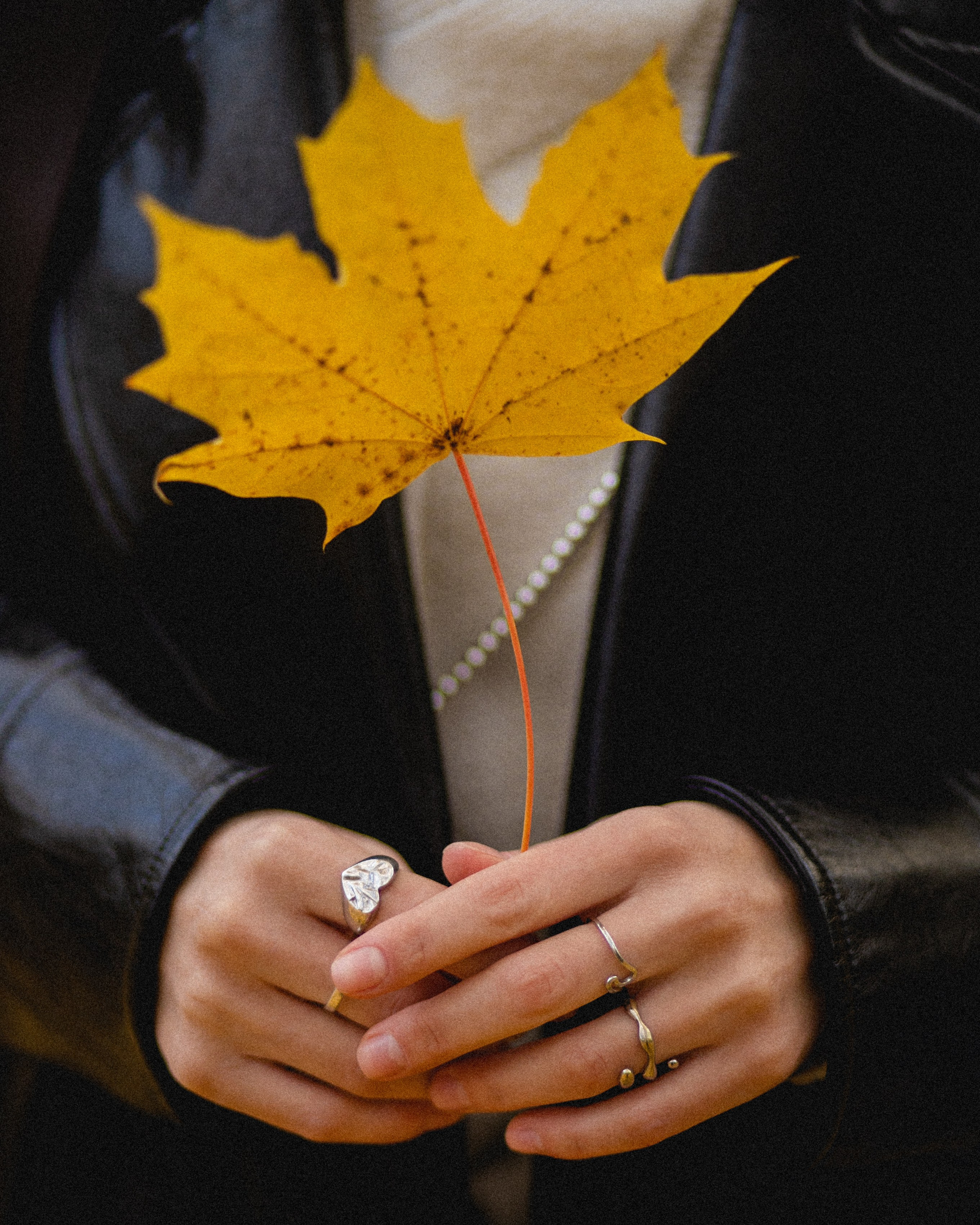 Осенняя прогулка. Репортажный и концертный фотограф в Москве Анастасия Осень