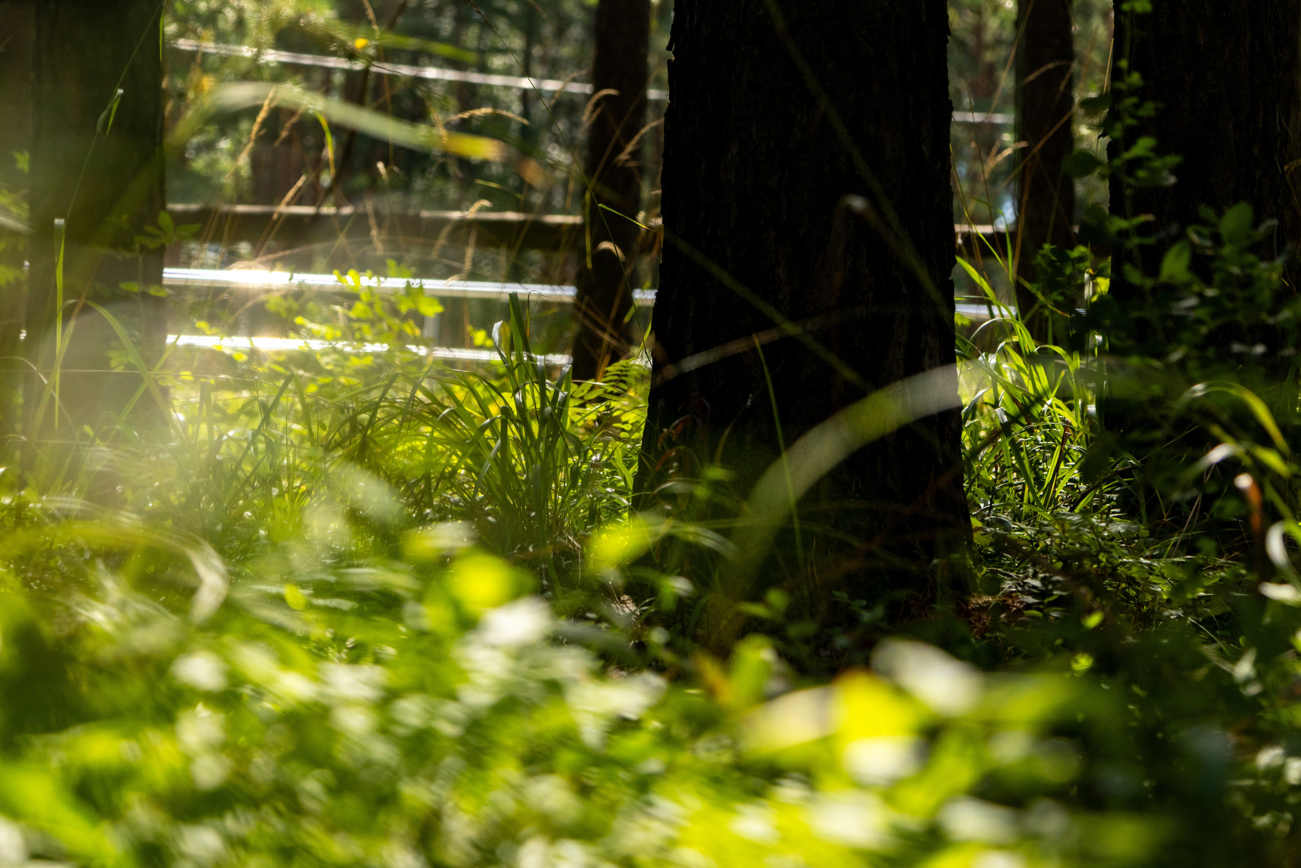 Екатеринбург. Jean De Vivre Gallery