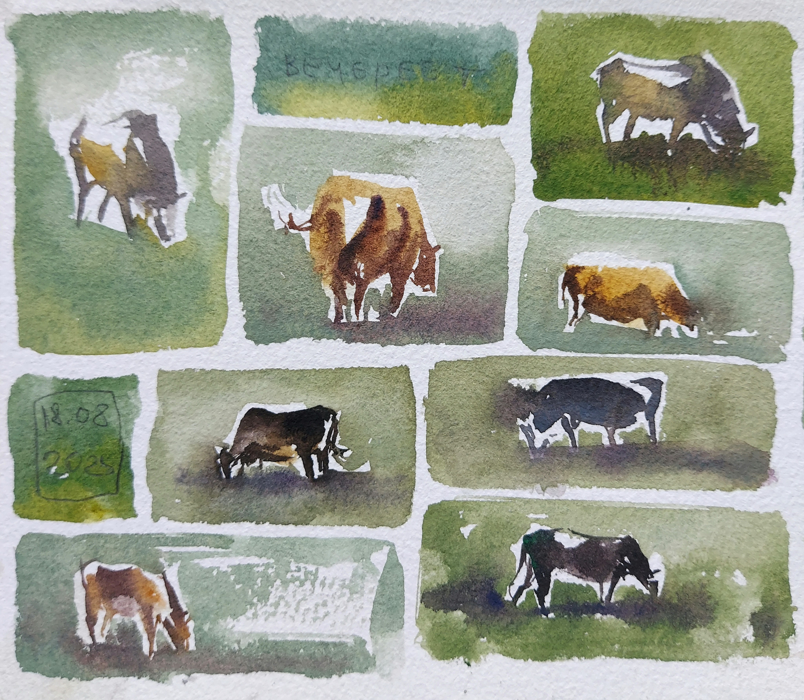 Quick sketches in Askat, Altai Mountains, Russia | August 2025 | Fragment of 11.5 x 36.5 cm (Half-A3)