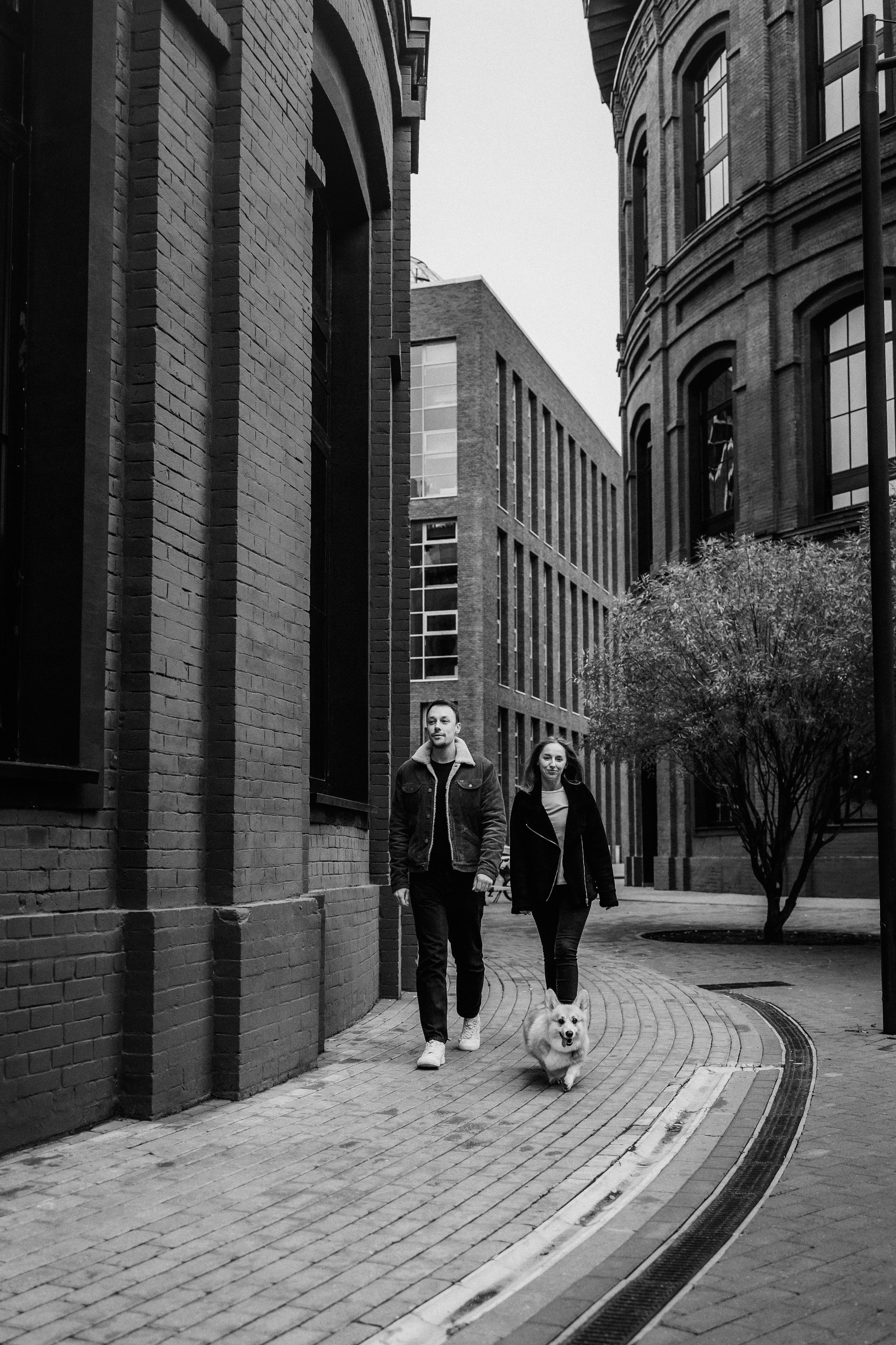 Вера, Саша и Муна. Фотограф-анималист Елена Радченко, Москва