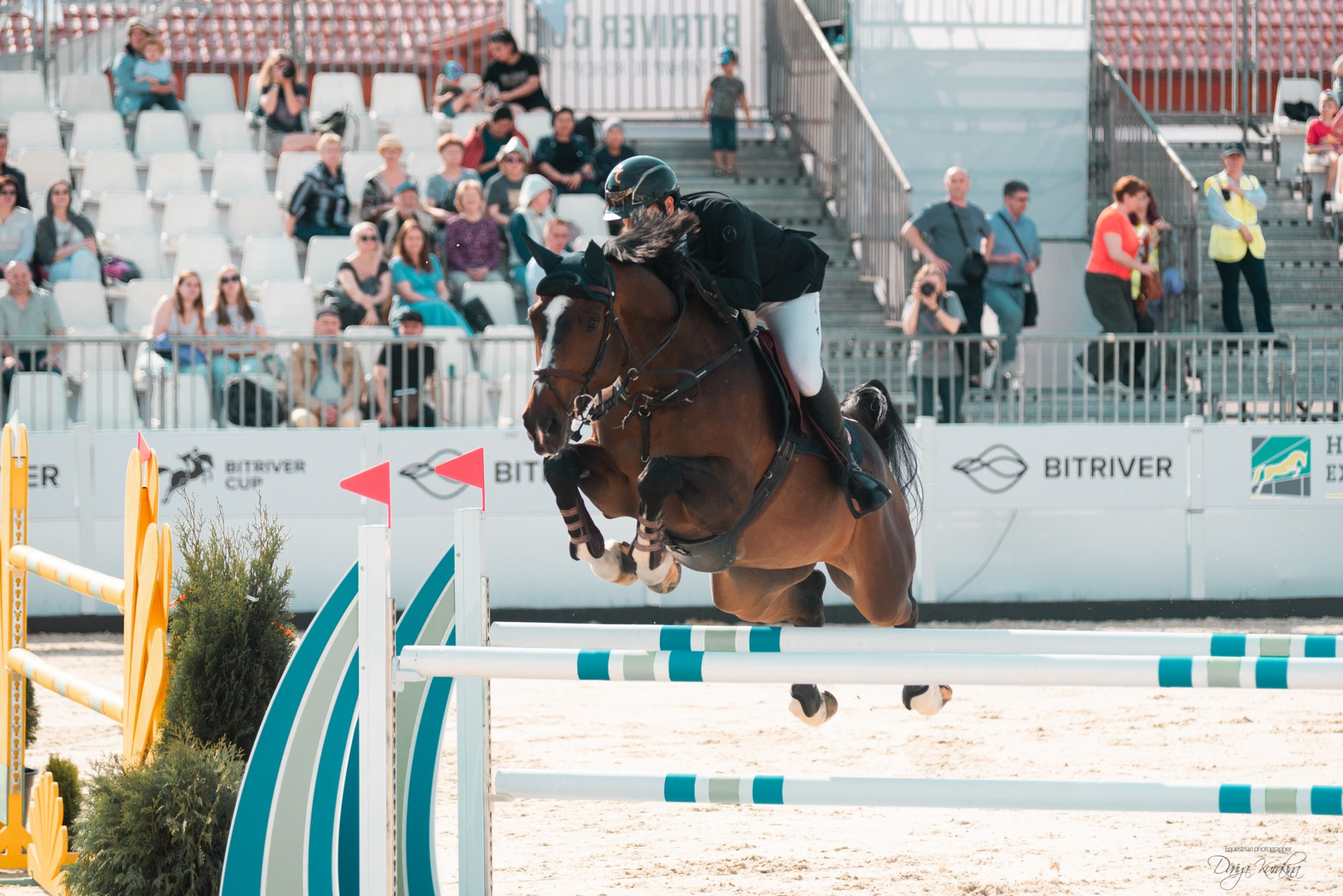 BITRIVER CUP 2023. Конный фотограф Куракина Дарья • Фотосессии с лошадьми