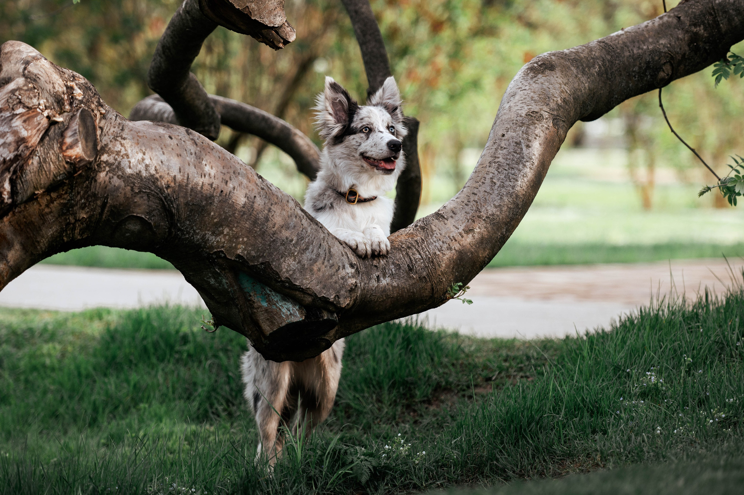 Весна на ВДНХ. Фотограф-анималист