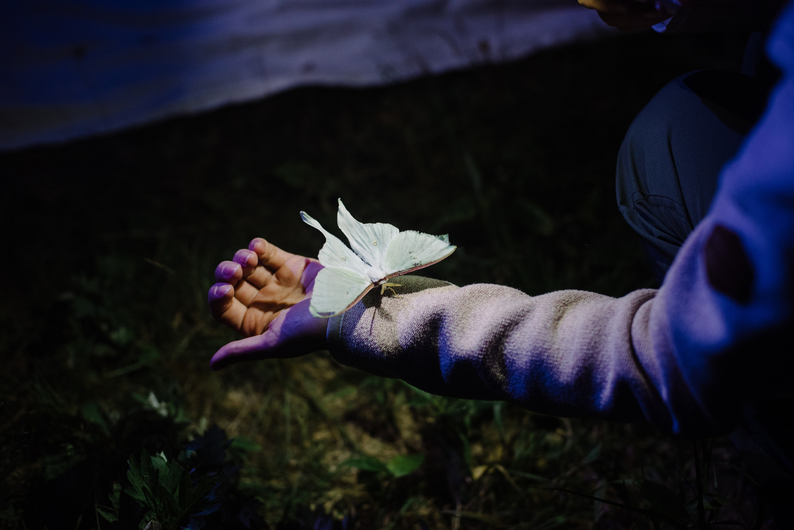 Сахалин и Курильские острова. Фотограф Алиса Калинина