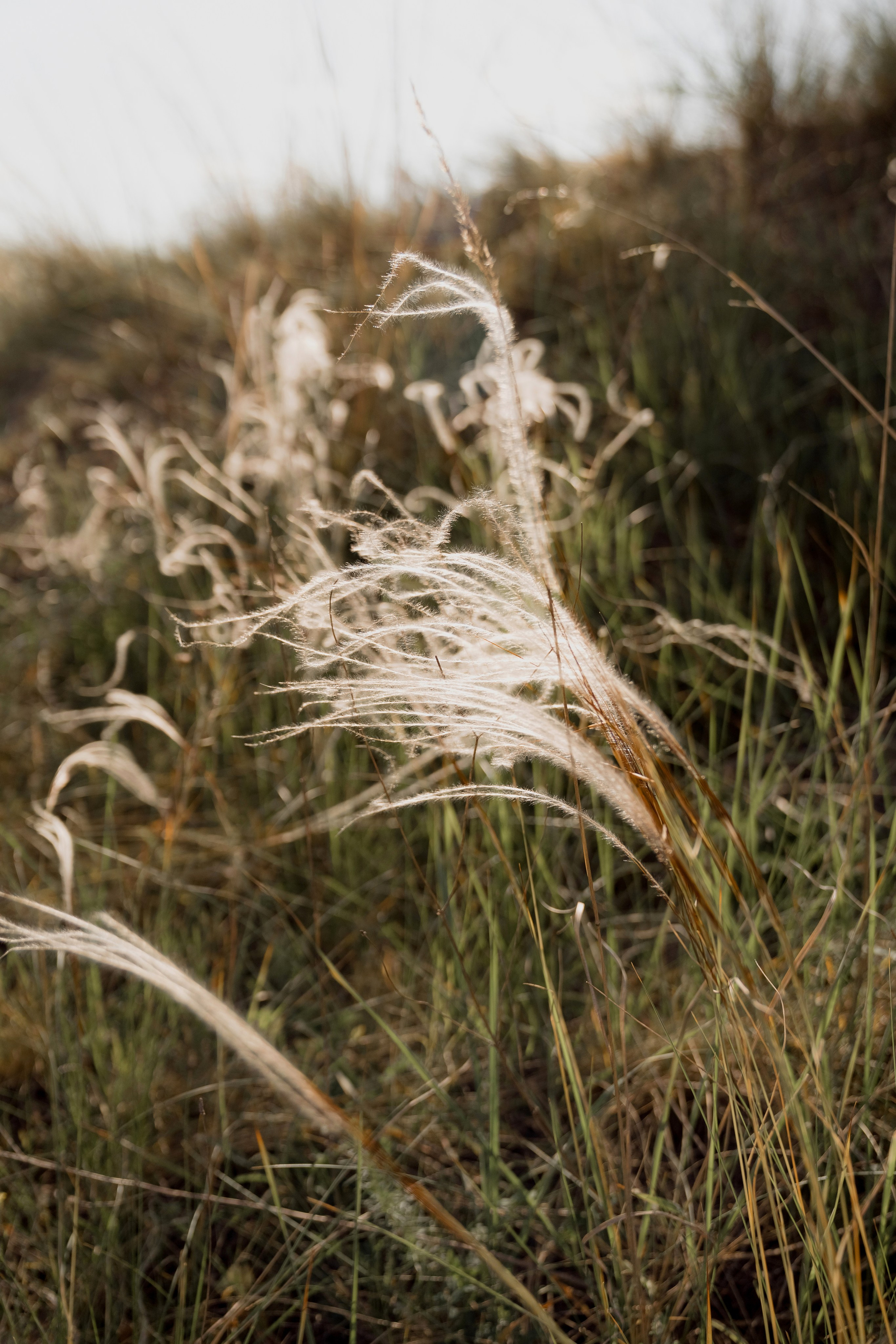 Егор и Лиза. Свадебный фотограф Воронеж Марина Грудинина