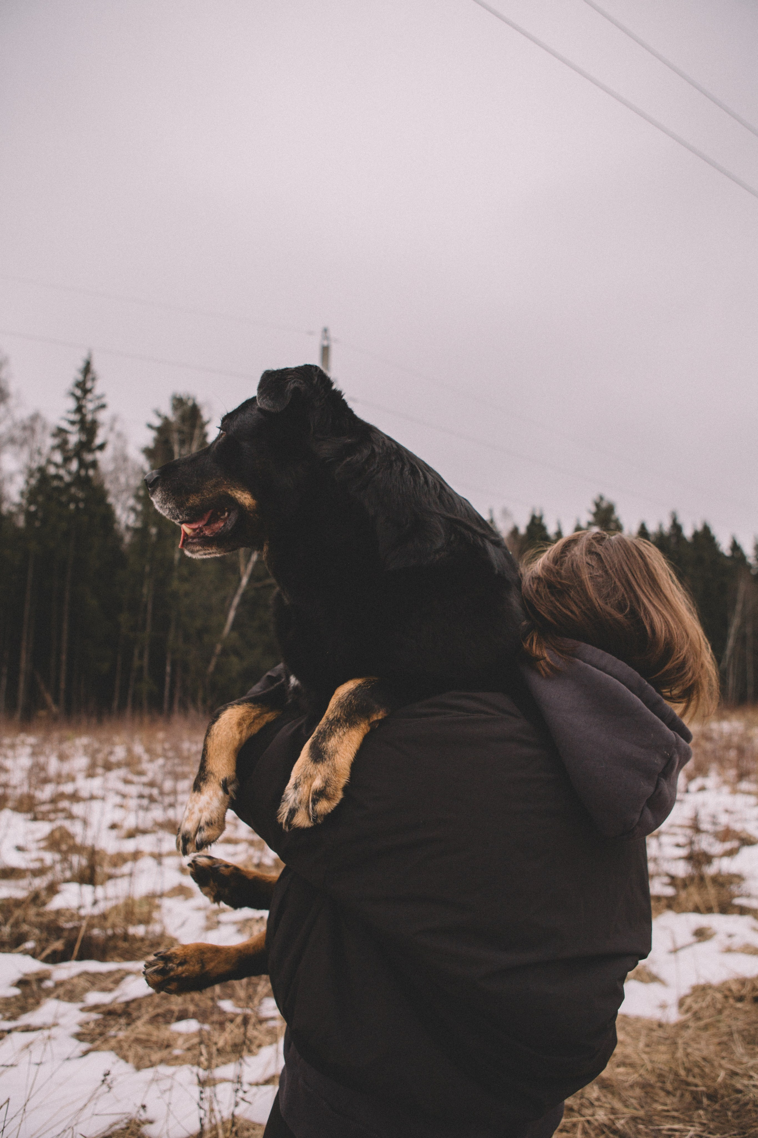 Alyona & Felix. Portrait, family and pet photographer in Cyprus, Ksenia Bourdelle