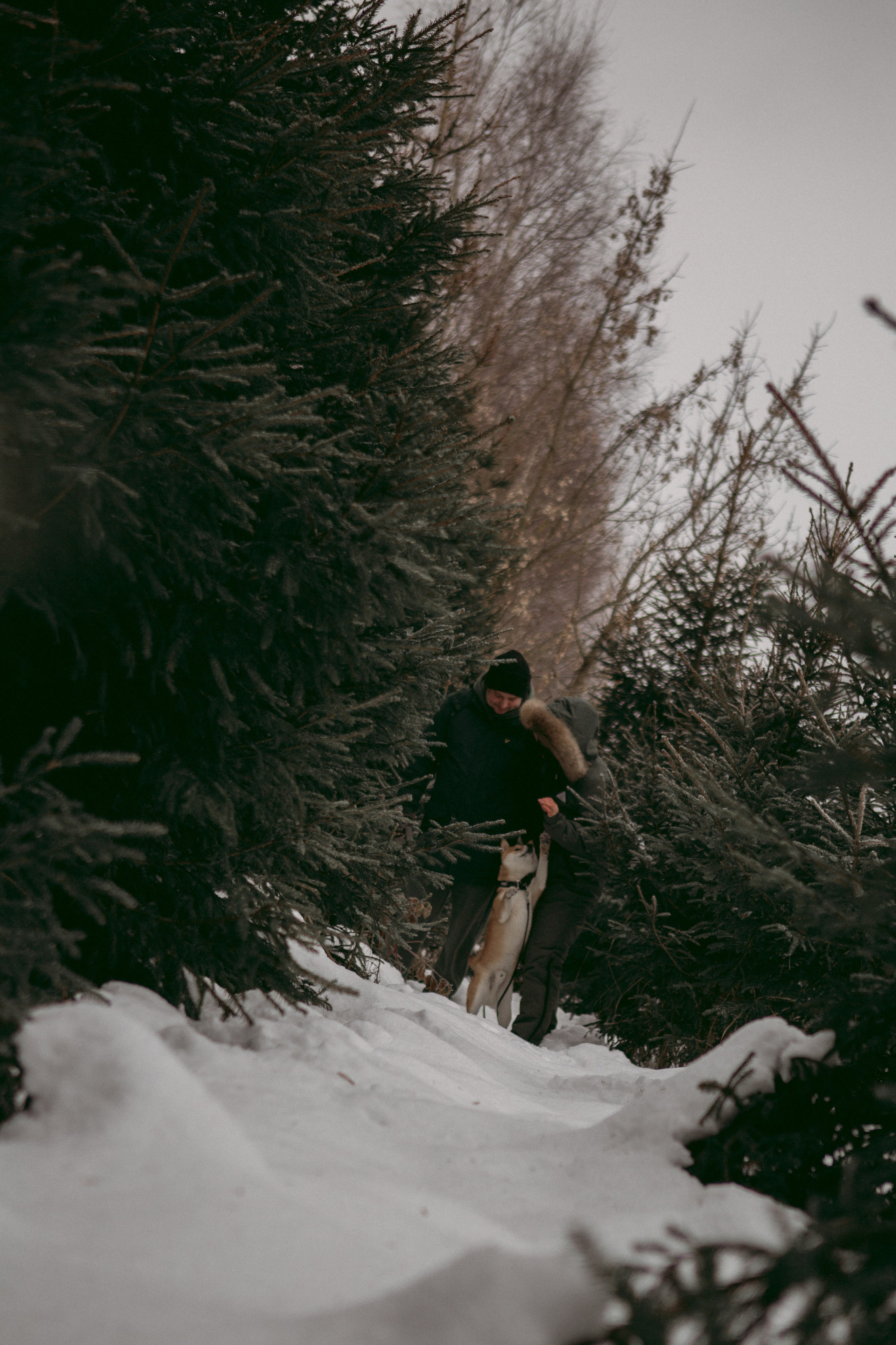 Katya, Dima, Rokki. Portrait, family and pet photographer in Cyprus, Ksenia Bourdelle