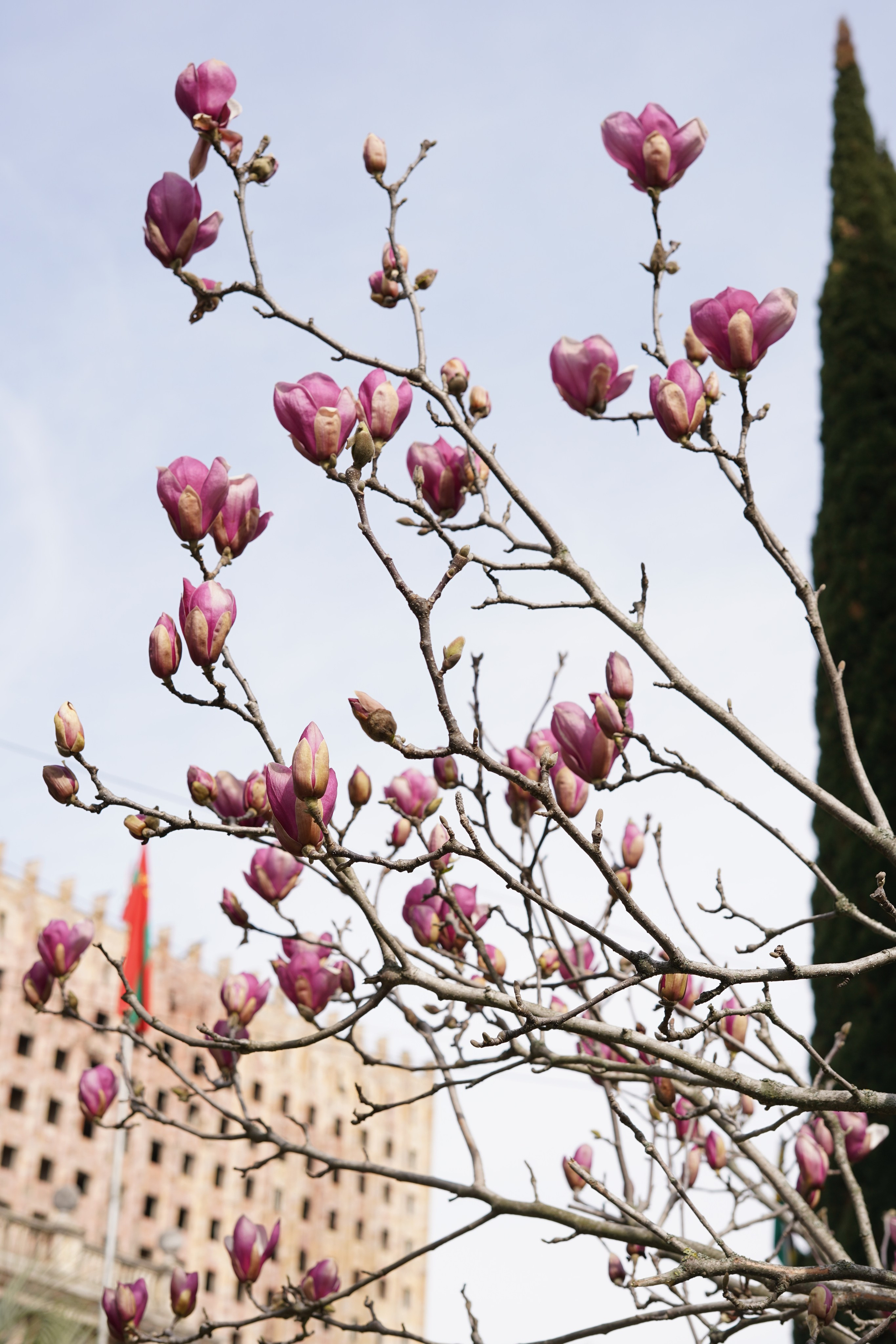 Сухум и окрестности