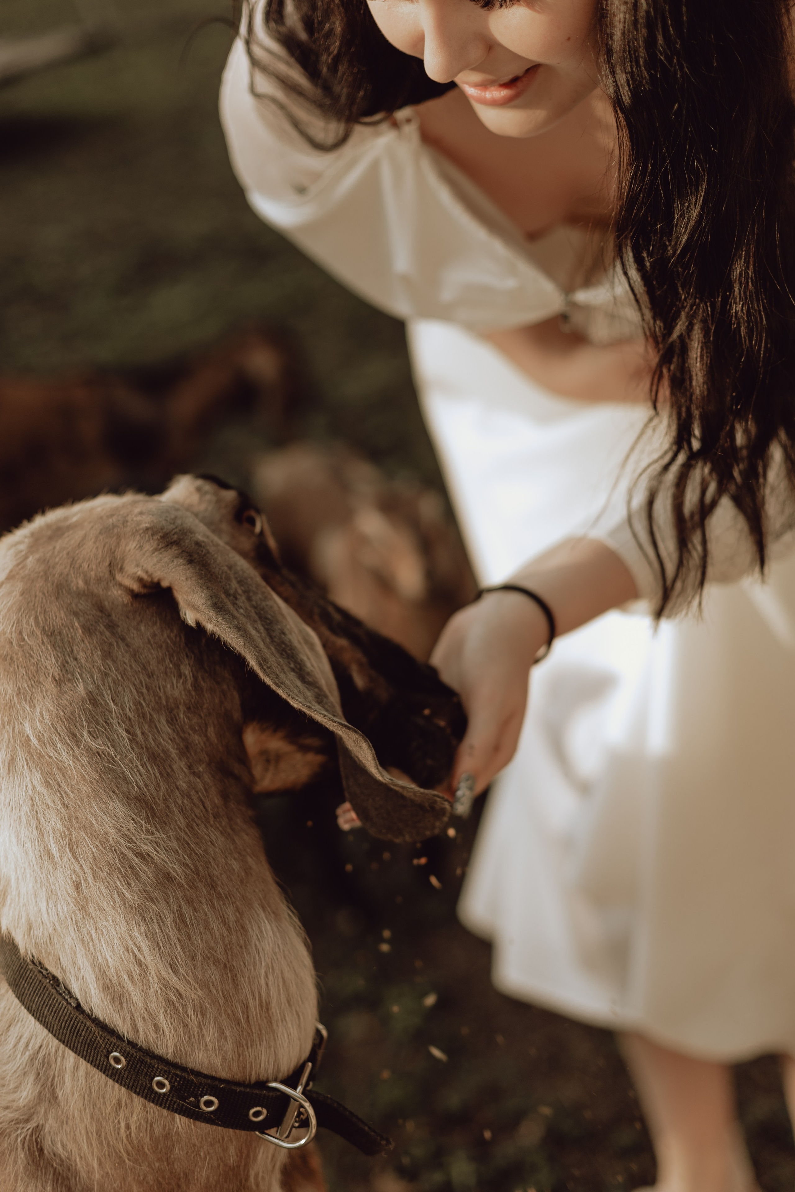 Наташа. Главная