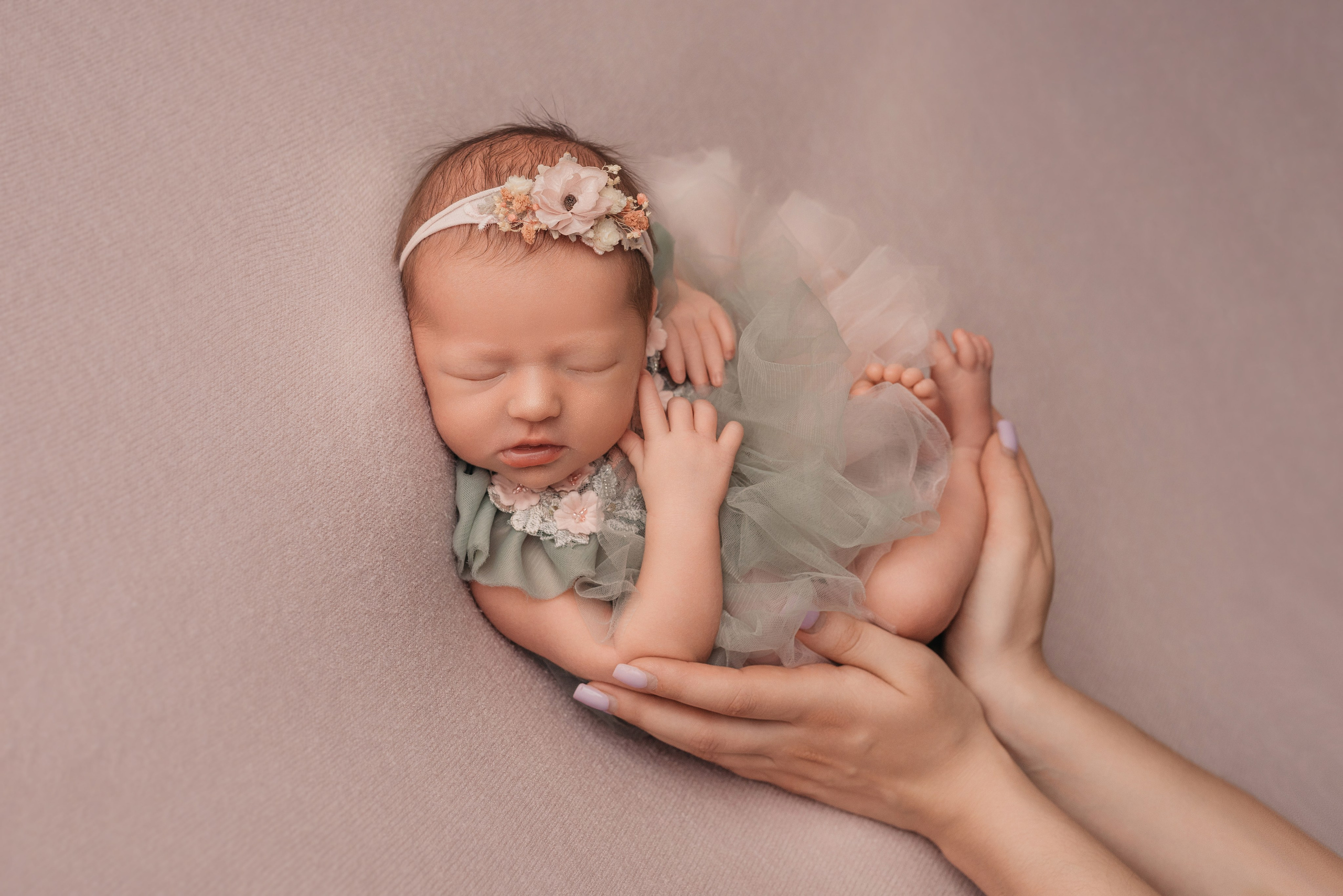 София. Фотограф новорожденных Белгород