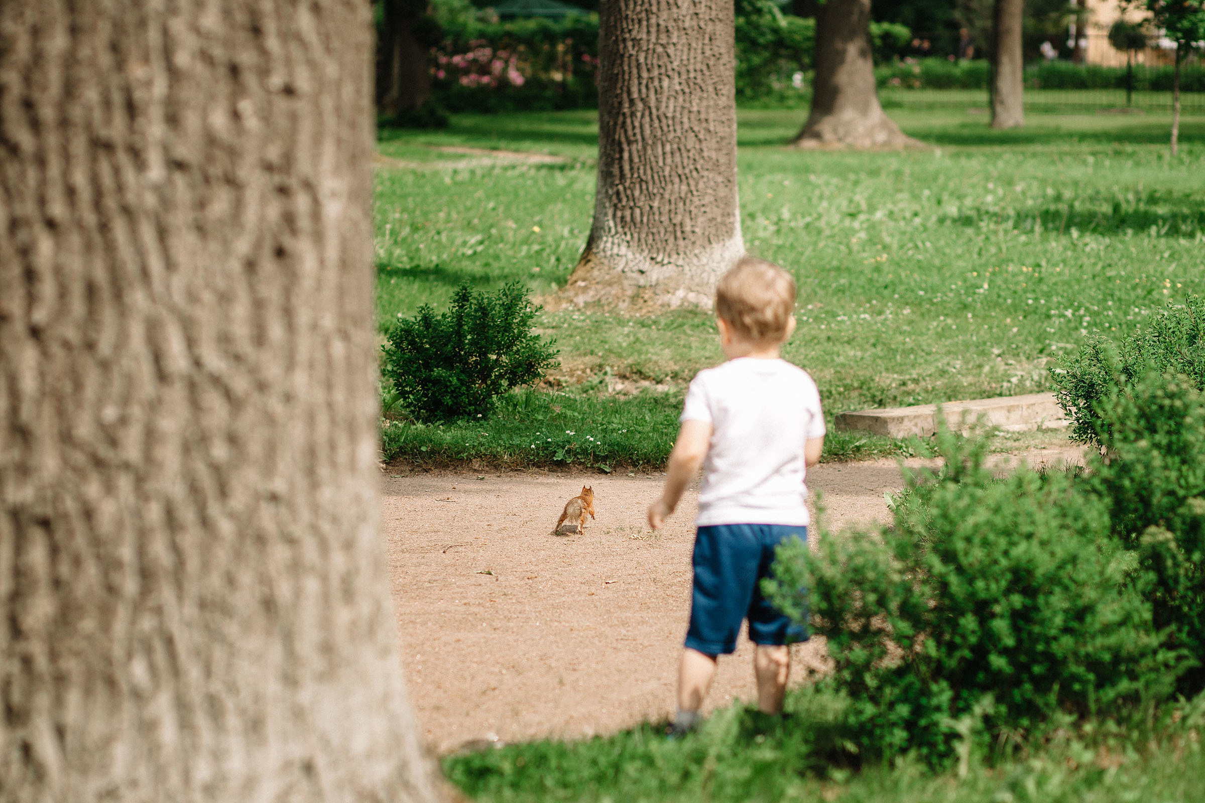 3 года парк Александрия. Семейный и свадебный фотограф в Майкопе Михаил Мартиросян