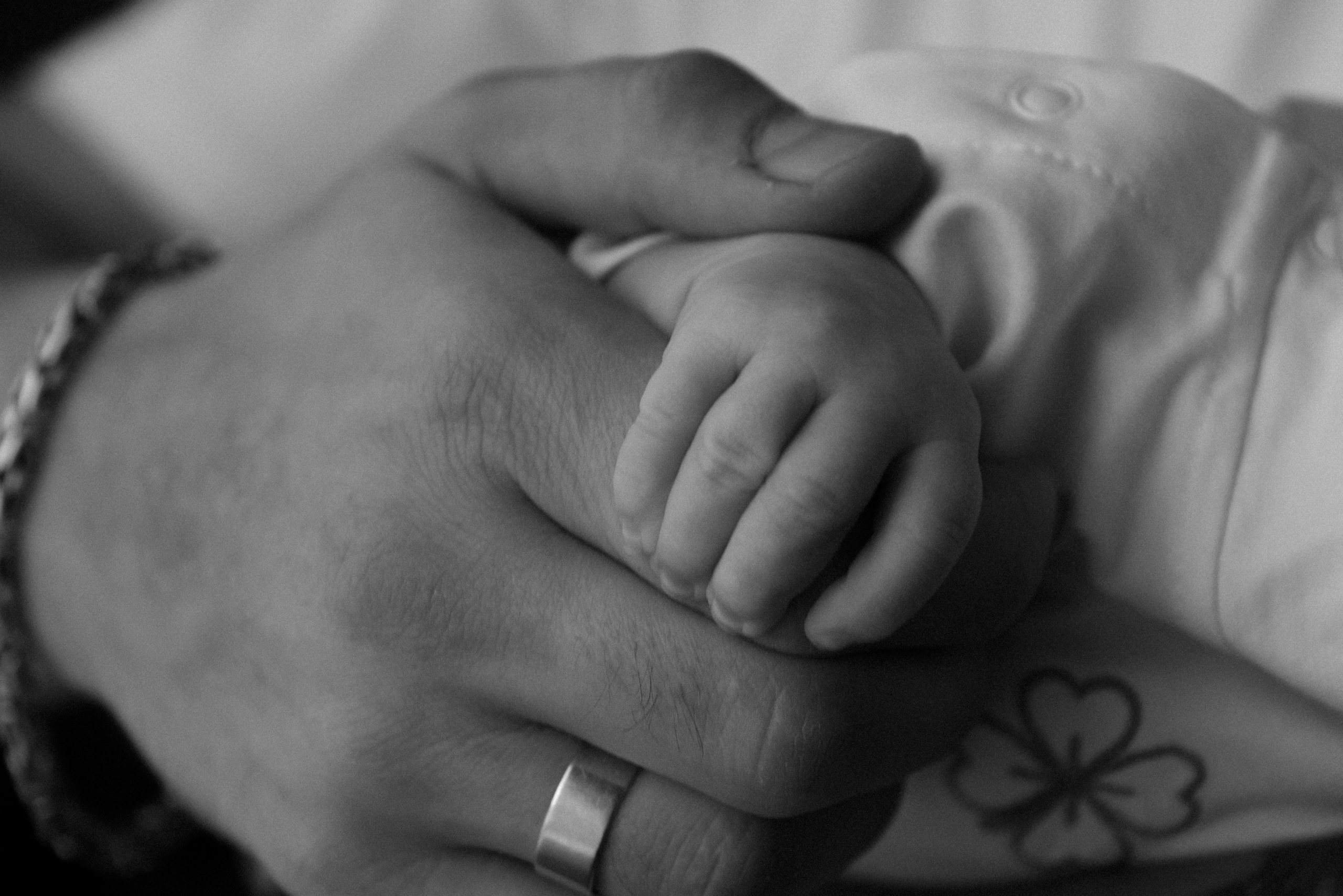 Юля, Рома, и Эрик. Свадебный, портретный, фотограф беременности в Нижнем Новгороде Алина Зиновьева