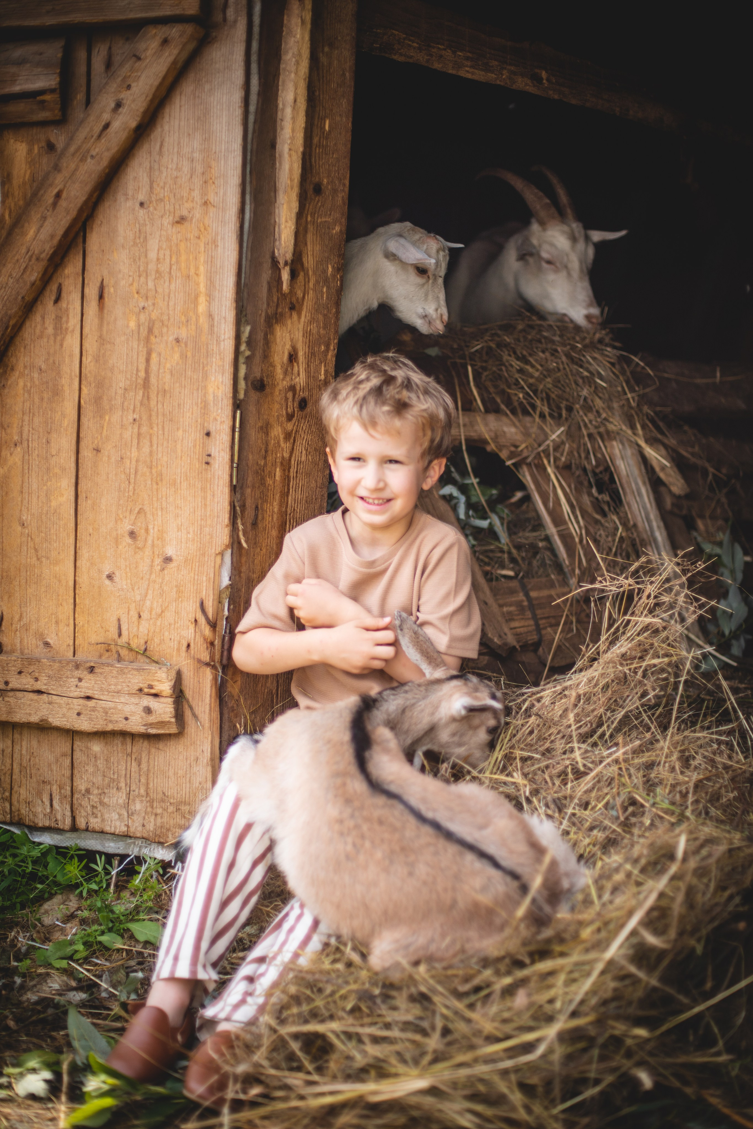 Фототуур «Край озёр» Лето. Семейный фотограф в Москве Анастасия Гурьянова