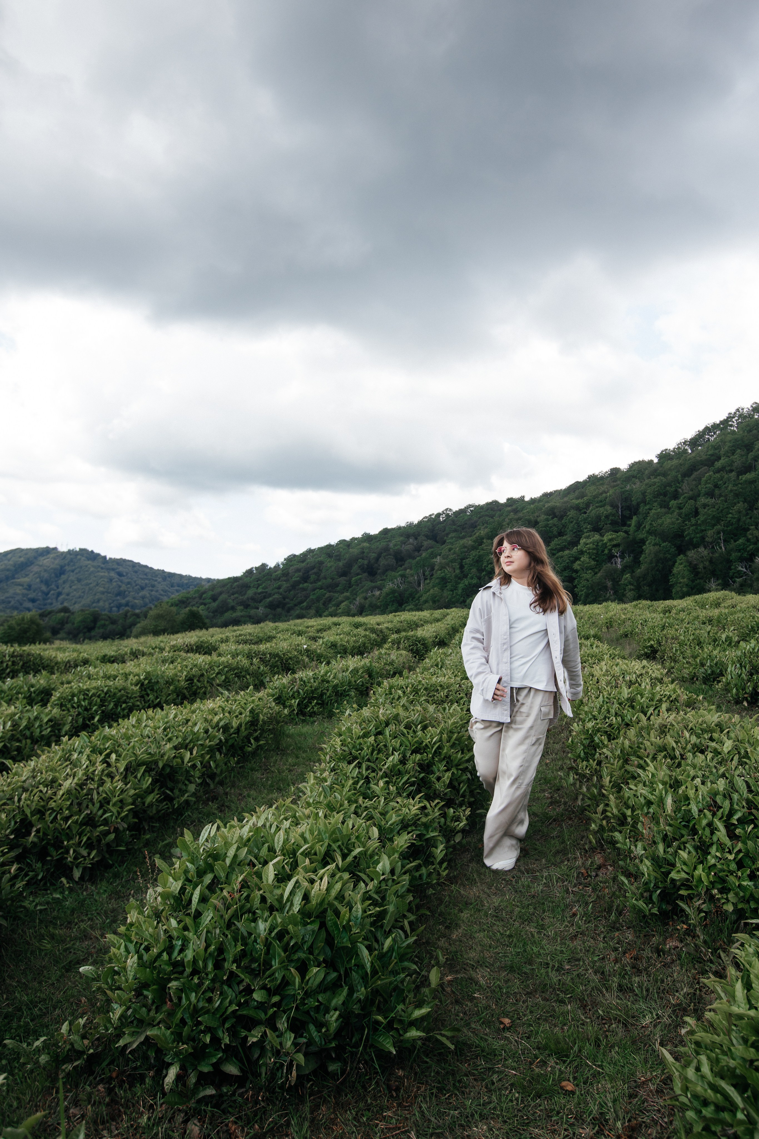 Tea plantation. Efimova Model Agency