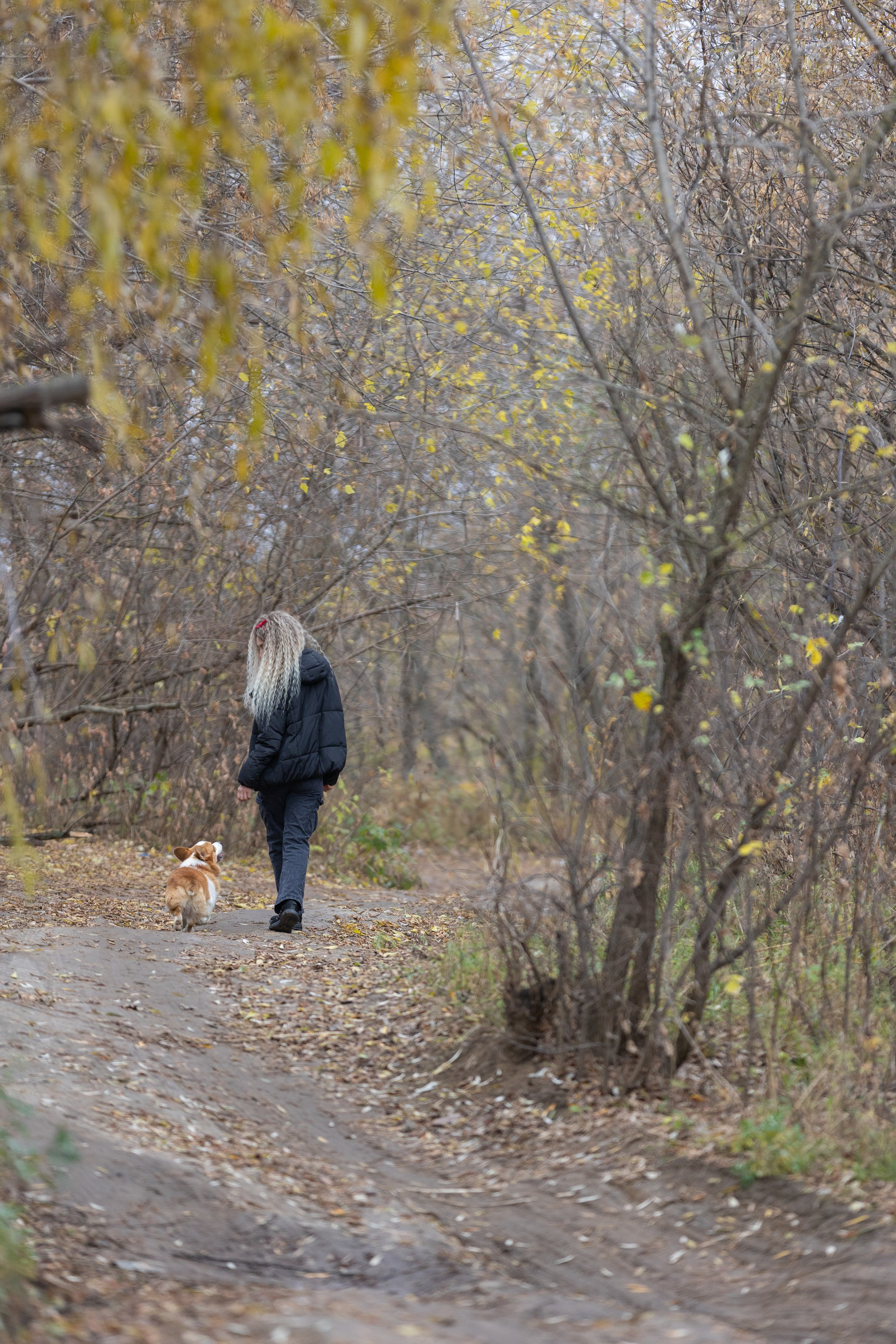 Надя и Перси. Фотограф — анималист Светлана Кысса|фотограф собак в Краснодаре и Нижнем Новгороде