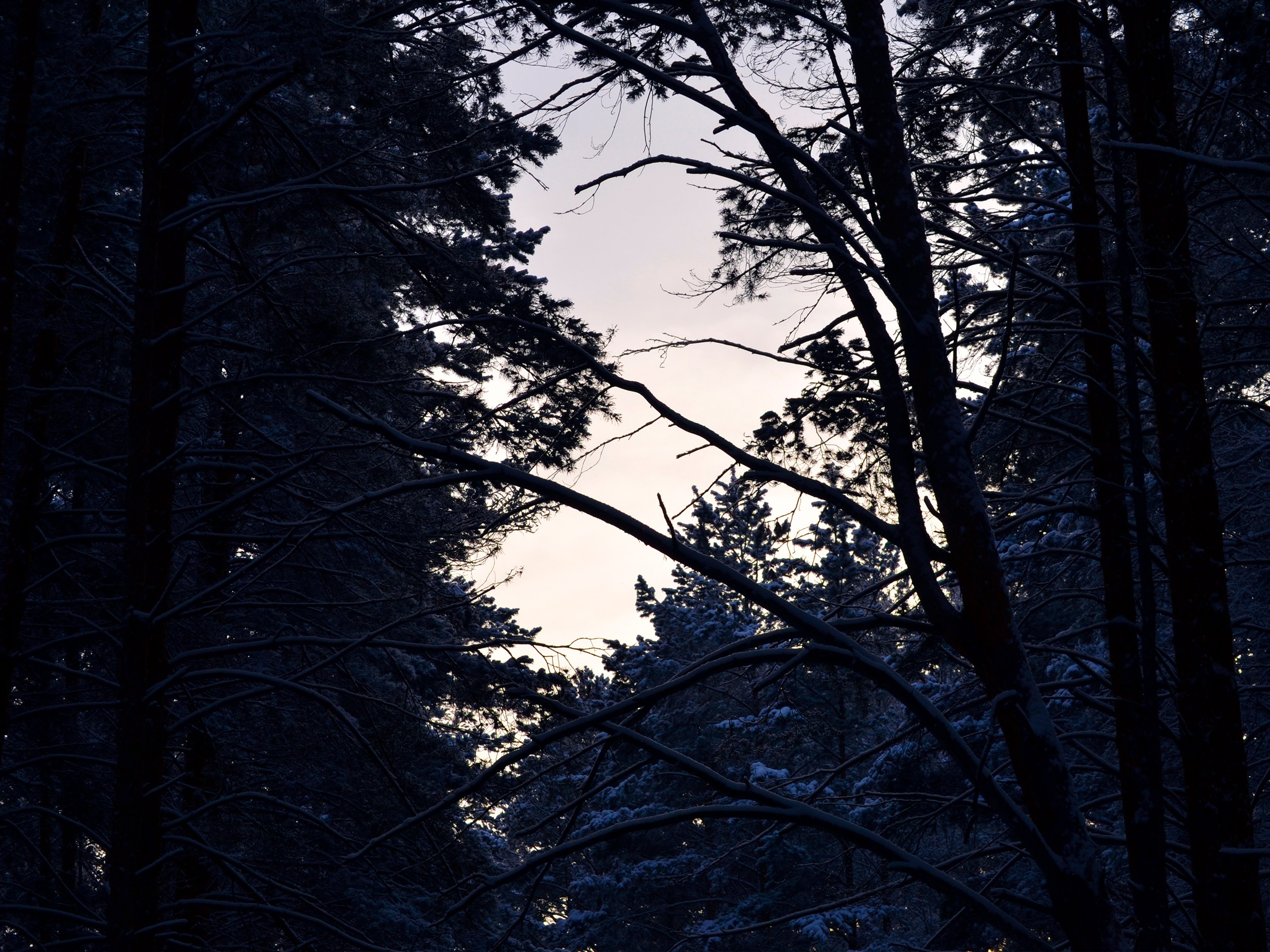 Фотограф | Видеограф в Кургане, Тюмени и Челябинске