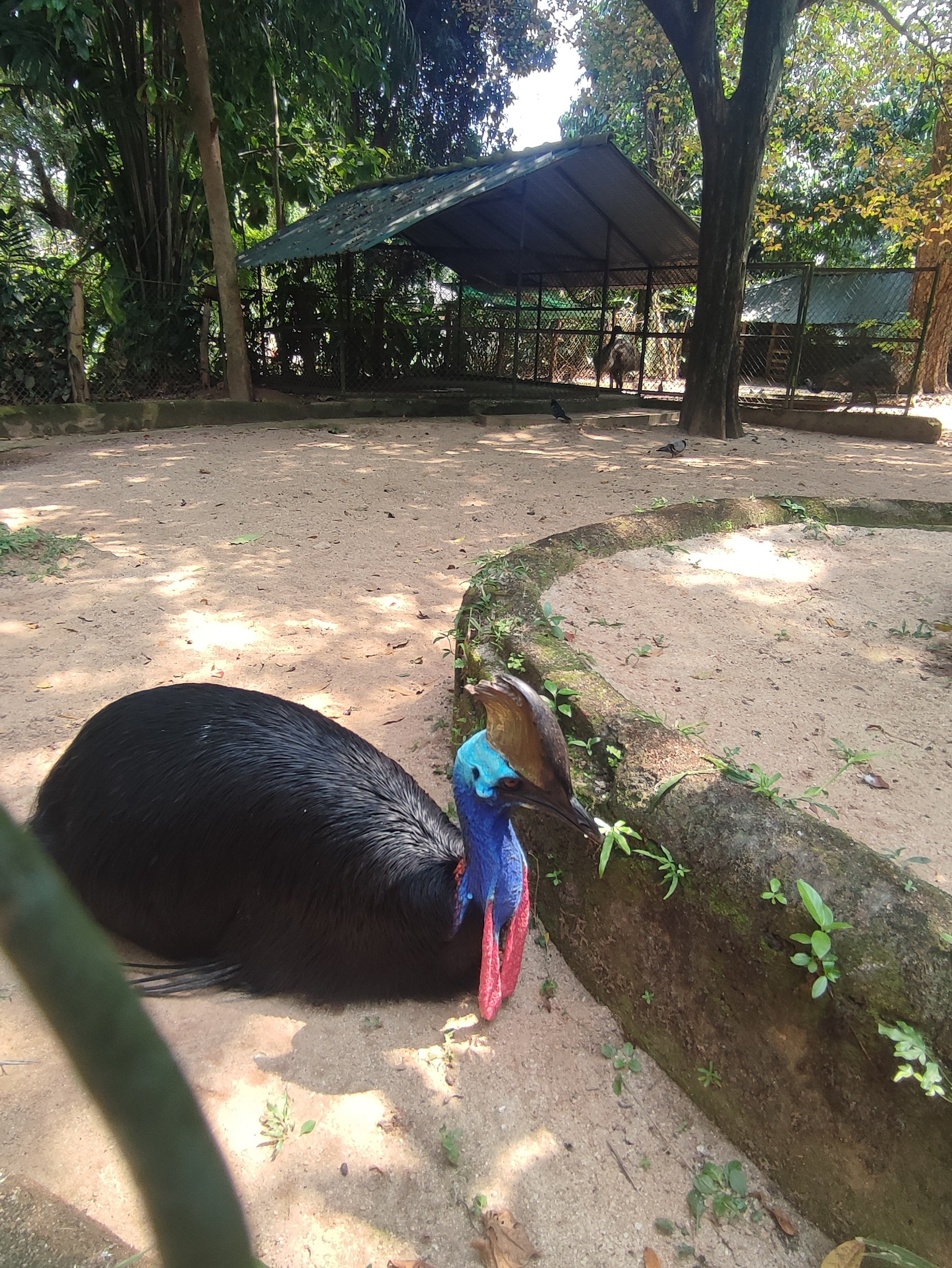 Шри-Ланка | 31.01 — 10.02.2025. Галерея Фантим