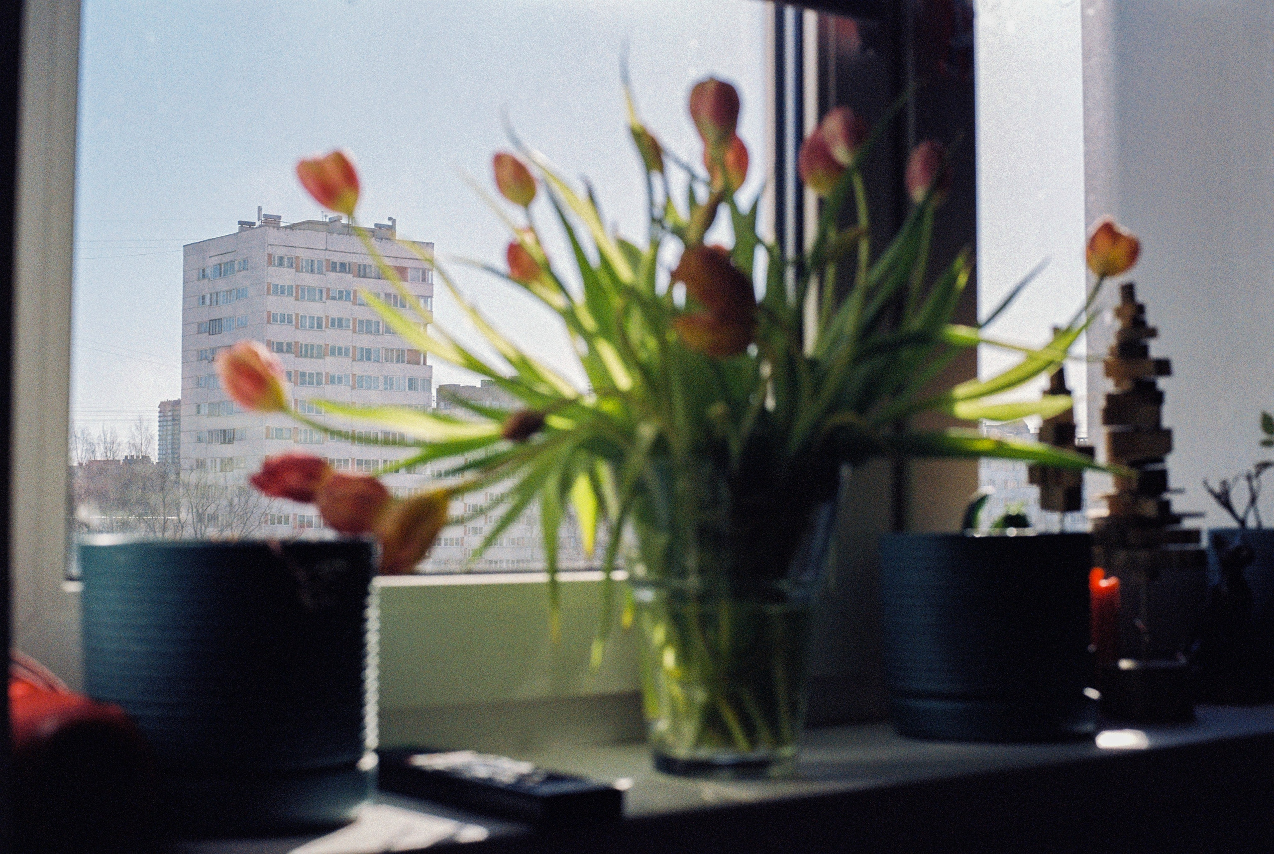 Плёночная весна 2025. Илья Михачёв Фотограф ПРО людей