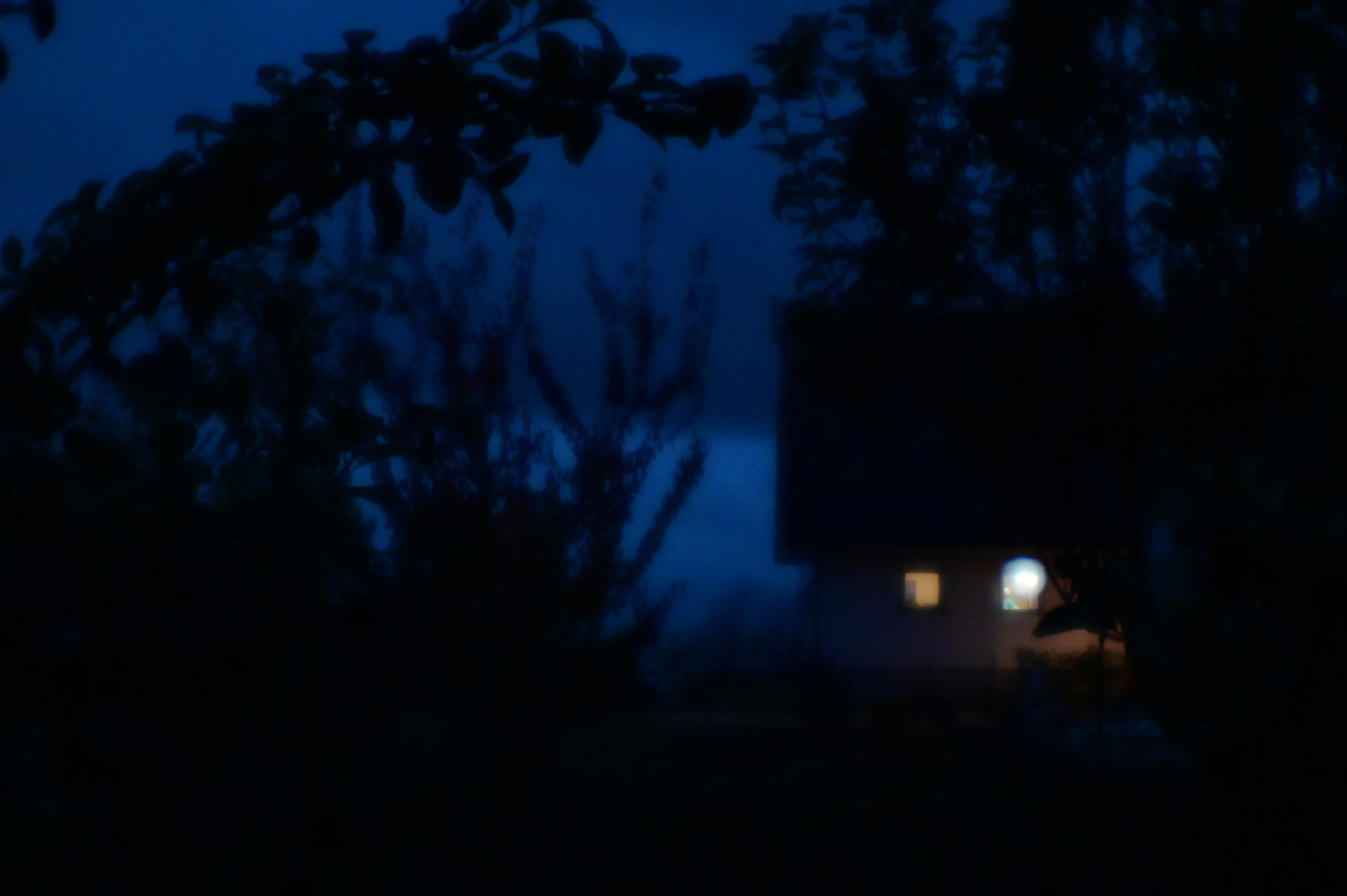 Бабушка. Фотограф Мария Усманова, Казань