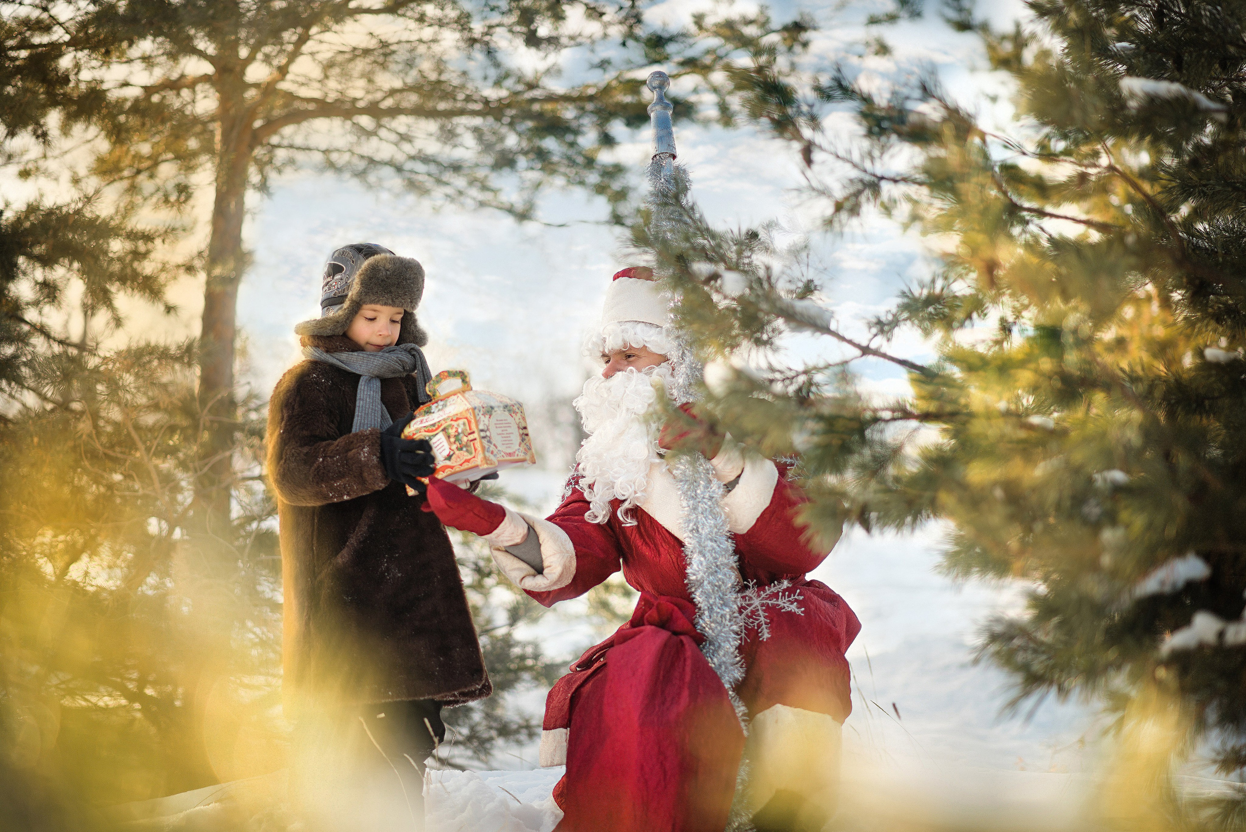 Разные фотосъемки. Конный фотограф в Саратове Юлия Иванова