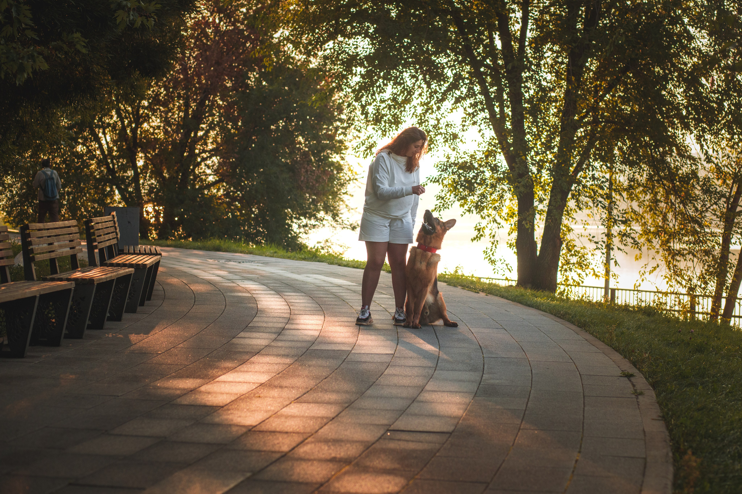 Фотопрогулка молодой девушки и ее собаки летним утром в парке. Семейный и школьный фотограф в Москве Анна Ткач