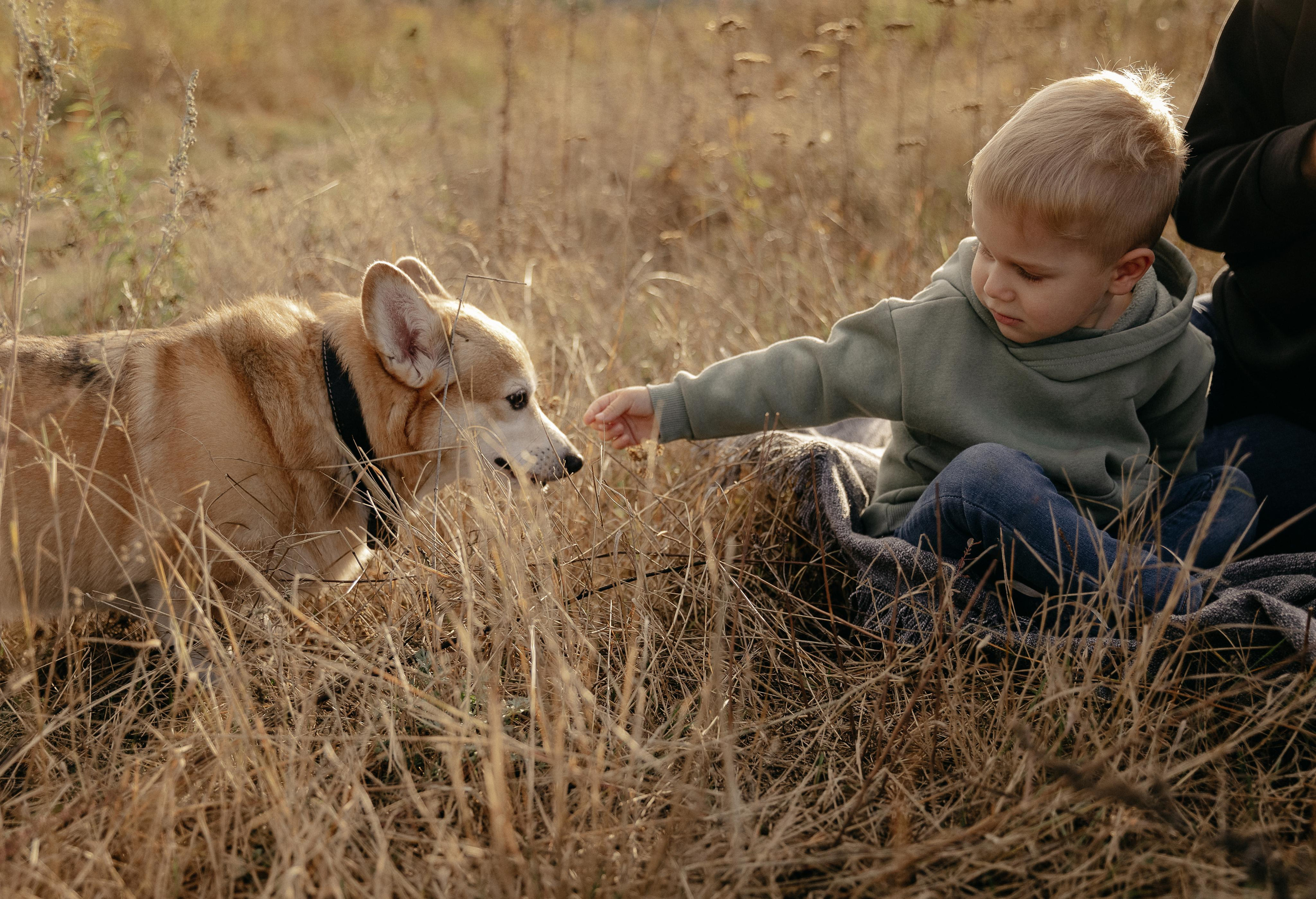 В погоне за ветром. Свадебный и семейный фотограф в Москве